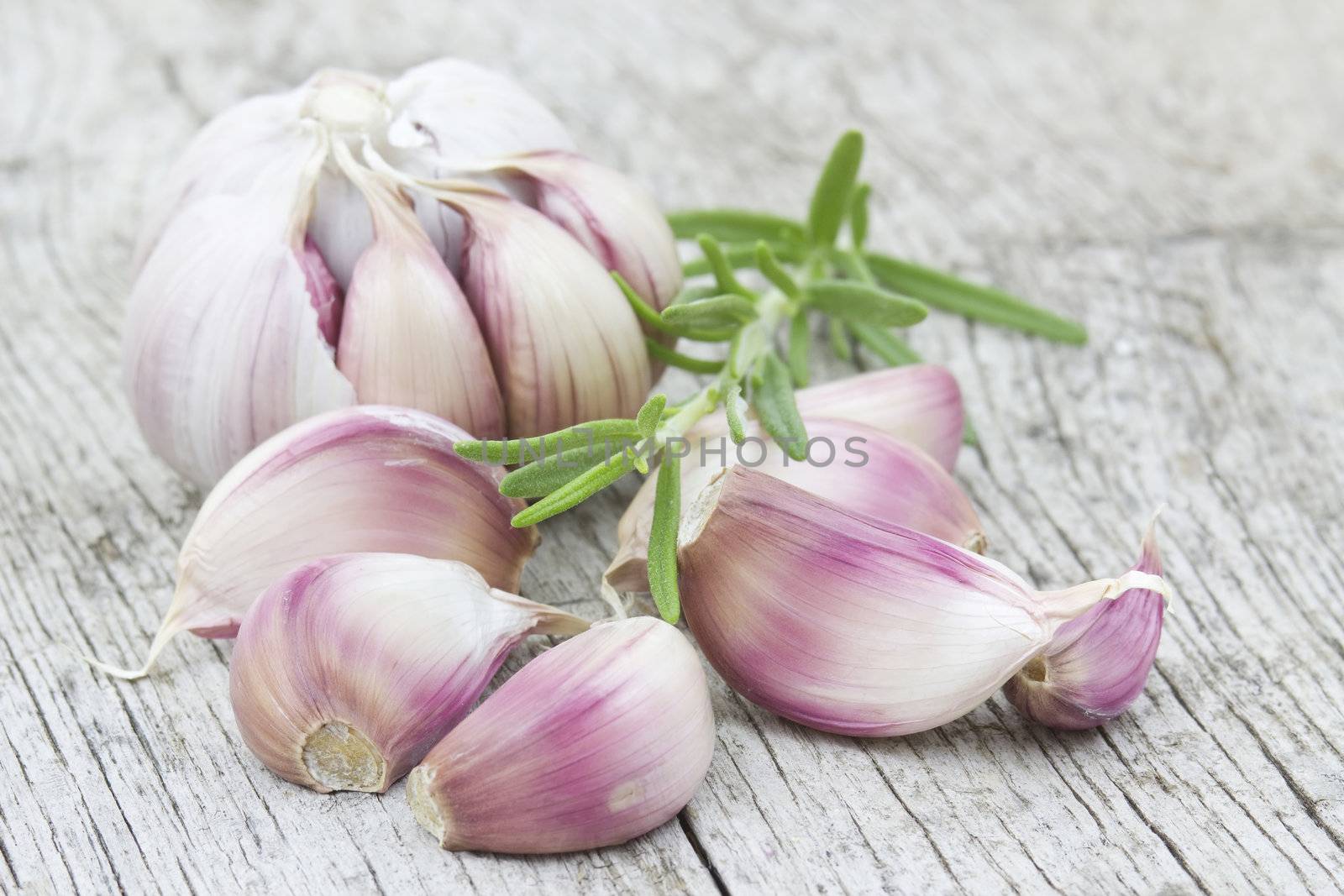 fresh garlic and rosemary