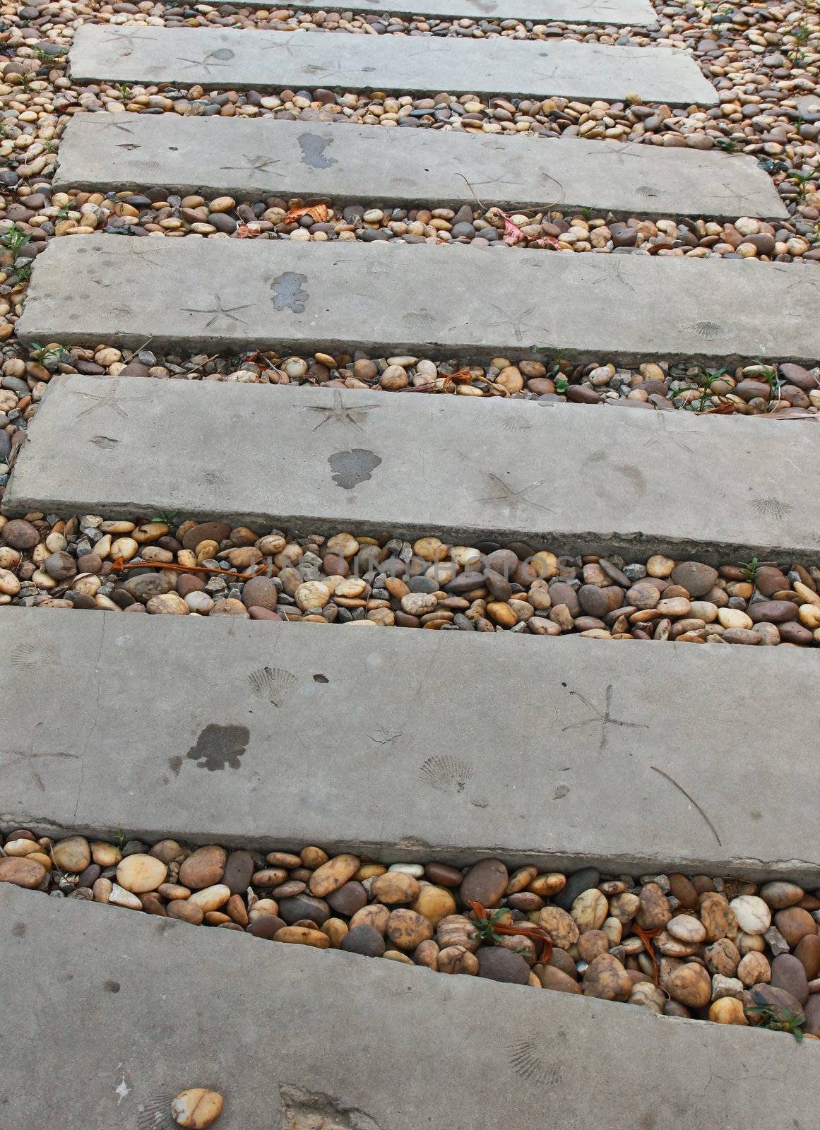 Stone walkway in the garden  by nuchylee