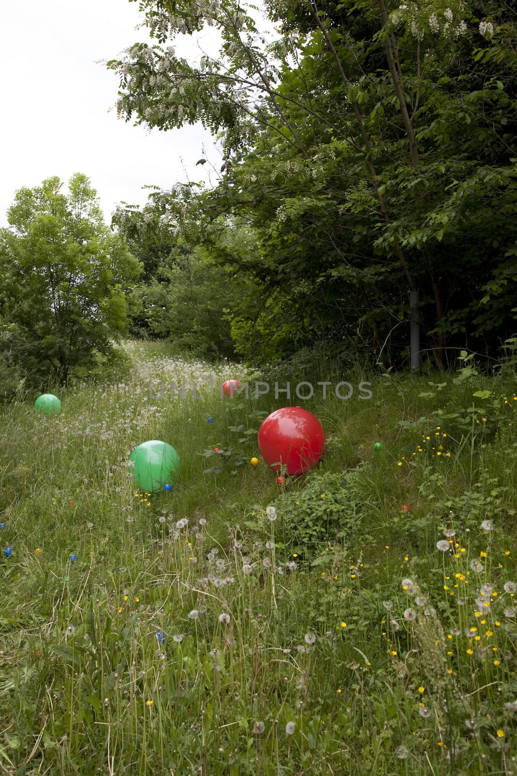 Coloured balloons on grass