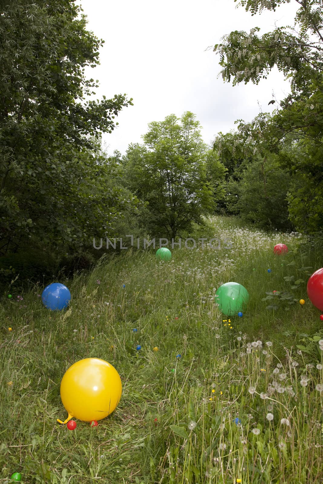 Coloured balloons on grass