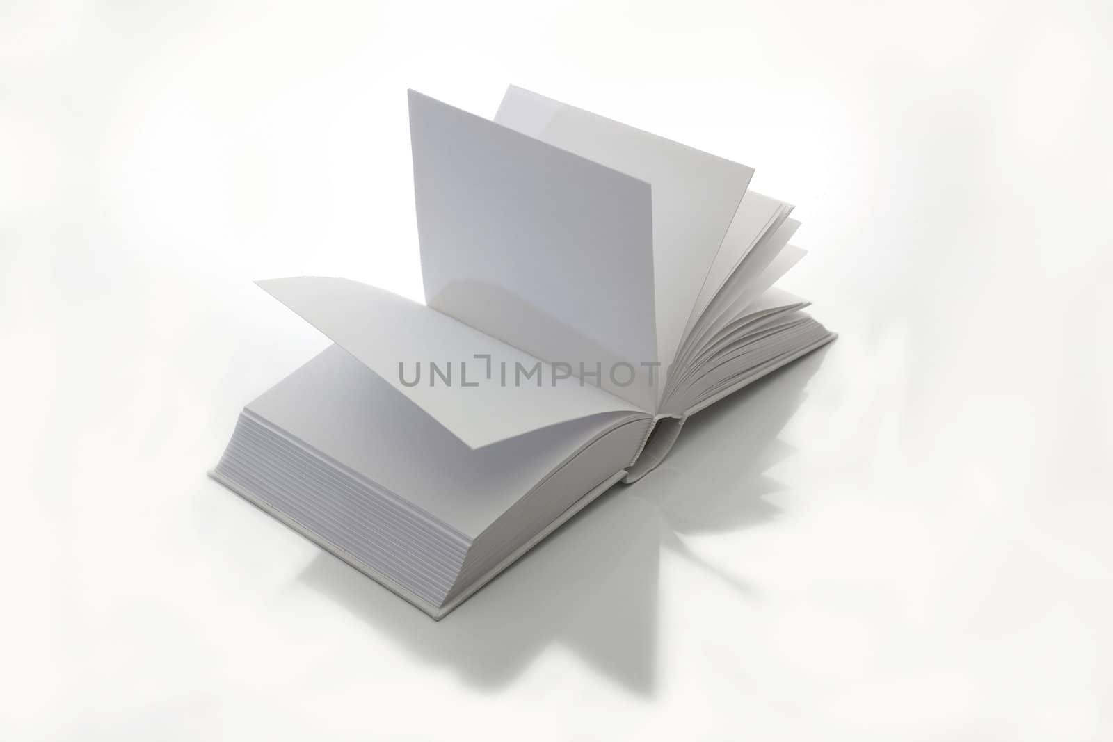 Empty open book on white