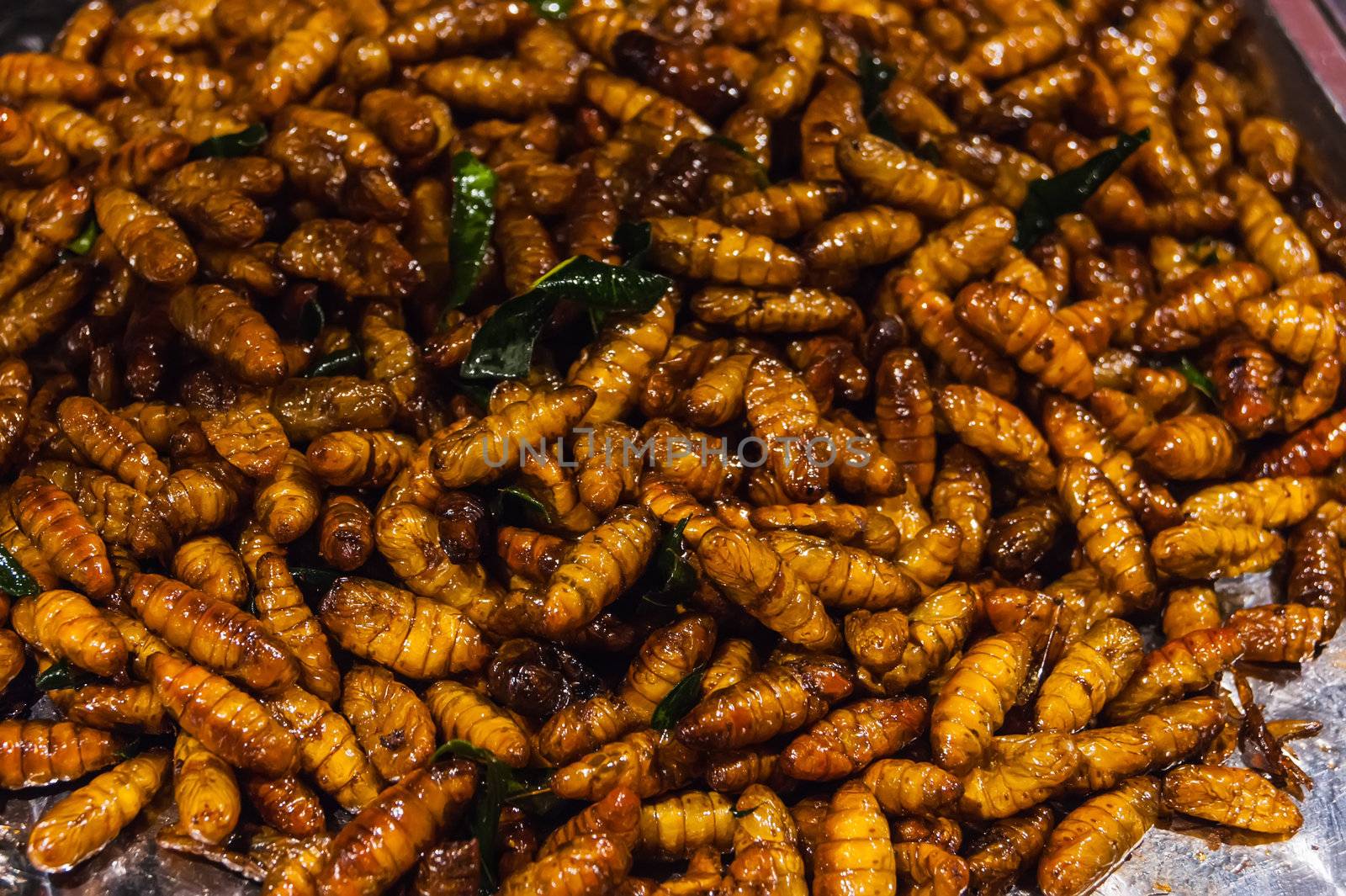 Fried larvas on the thailand night market