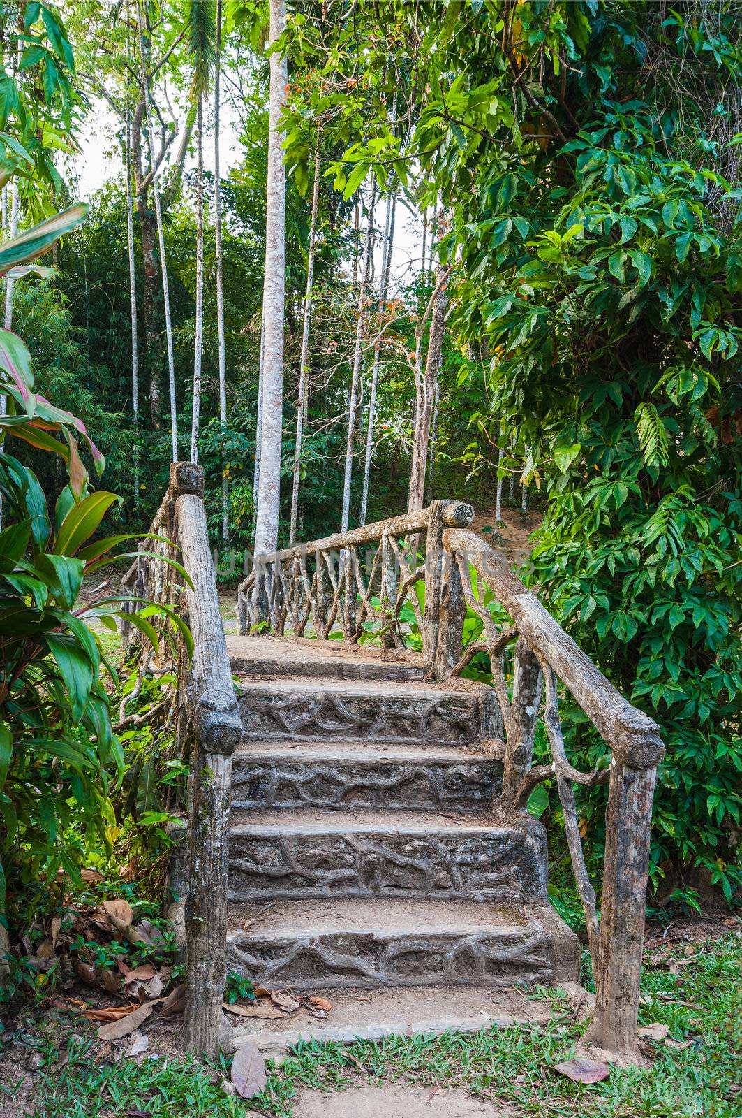 stone bridge over a creek in the jungle of Thailand