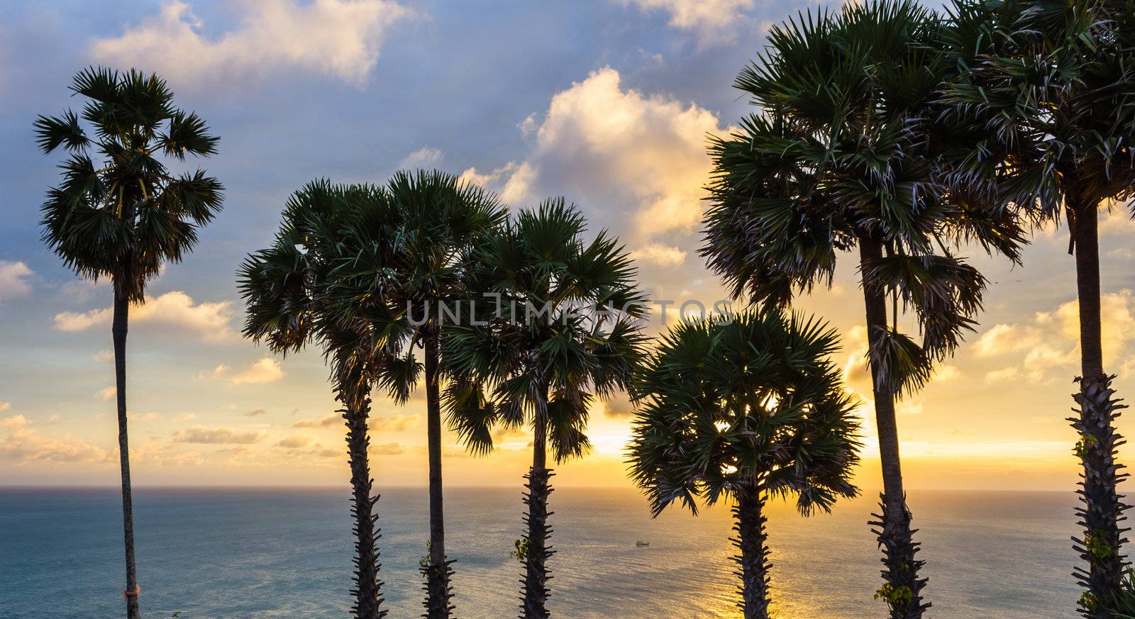 Set among palm trees on the island of Phuket