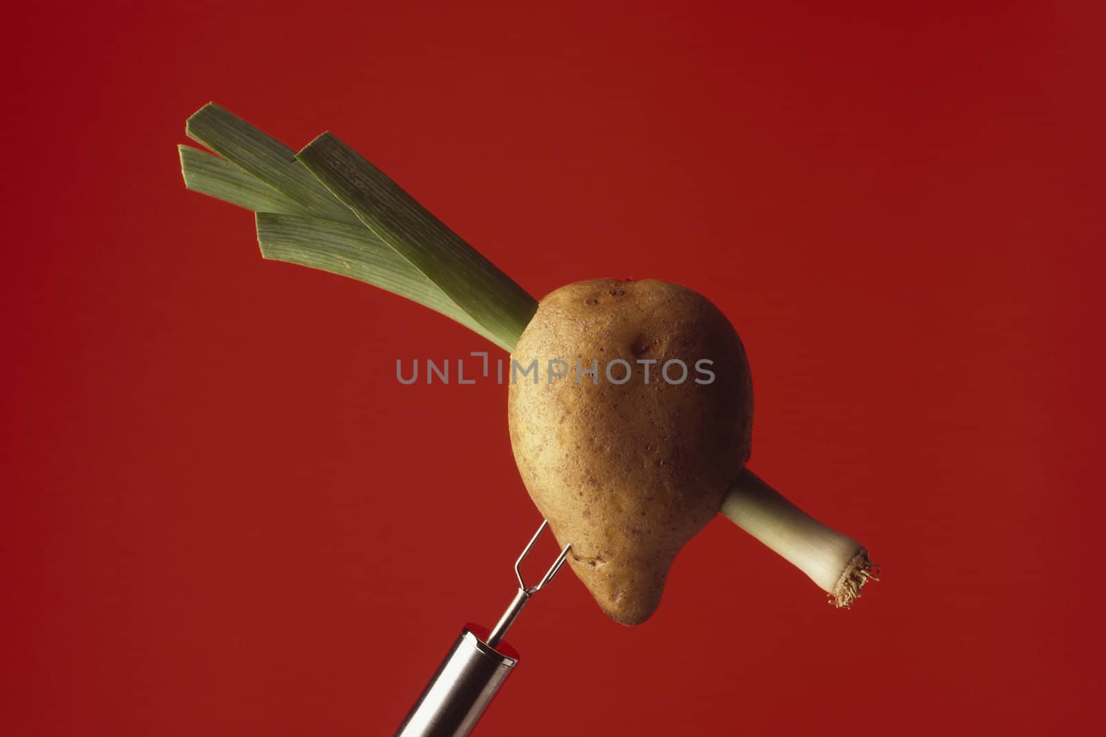 Heart potato with leek on red background