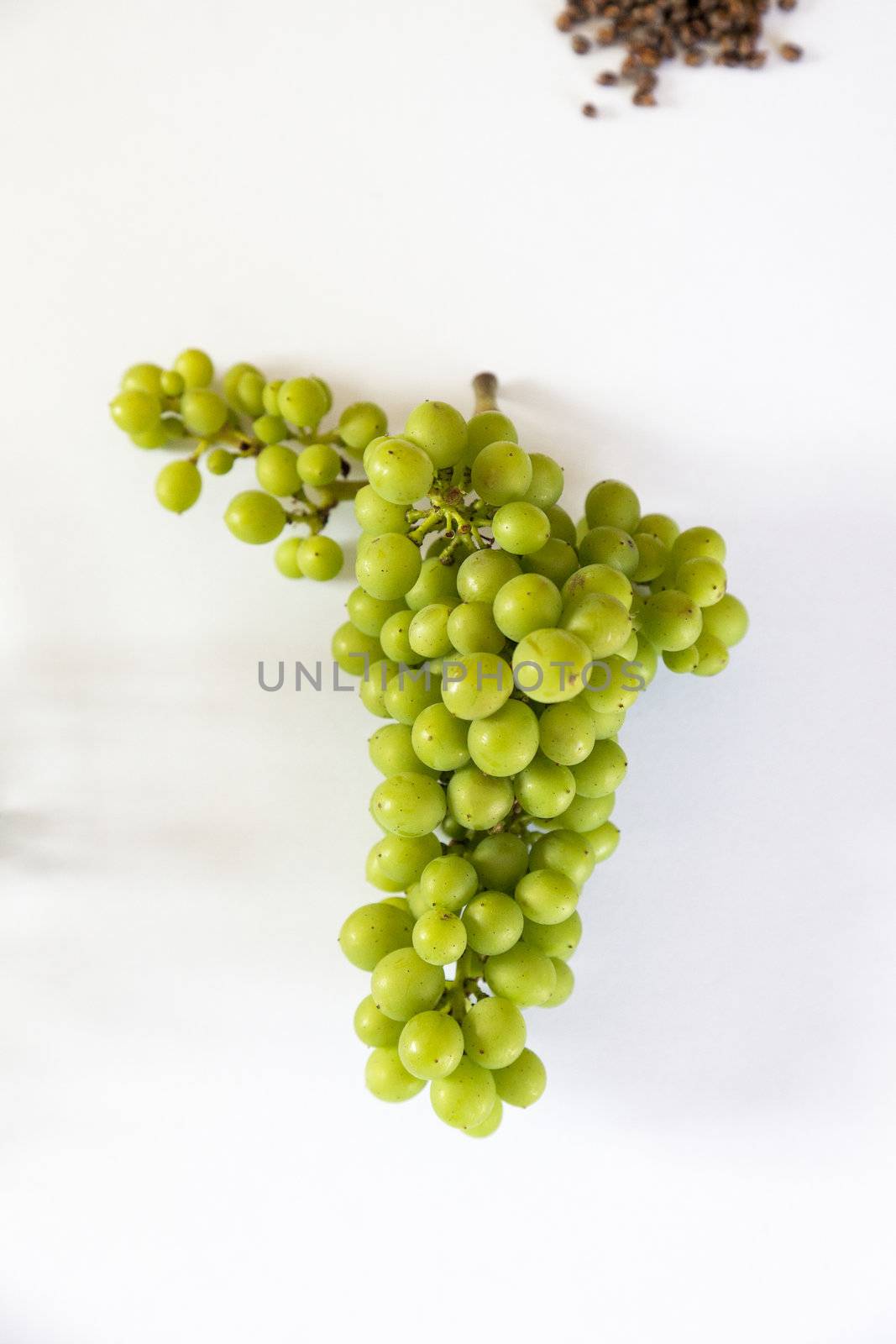 Biological cultivated Grapes by ram_media_pro