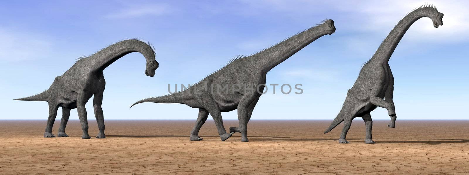 Three brachiosaurus dinosaurs standing in the desert by daylight