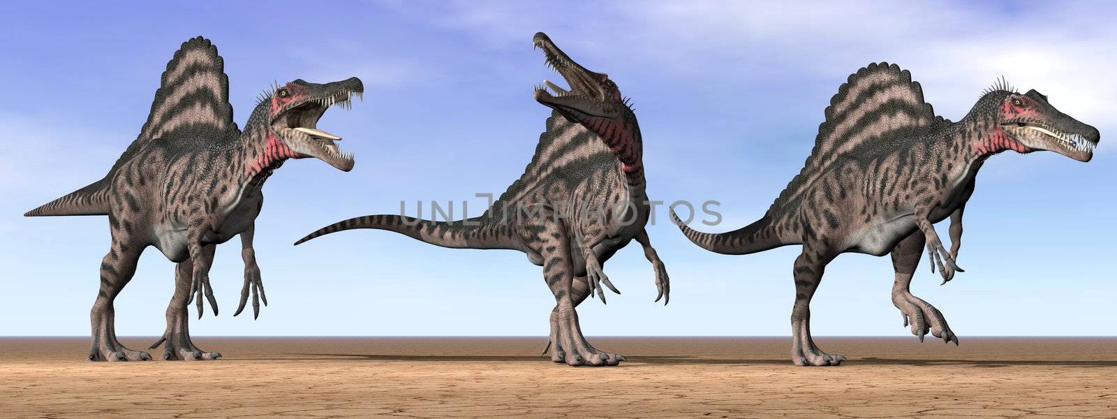 Three spinosaurus dinosaurs standing in the desert by daylight