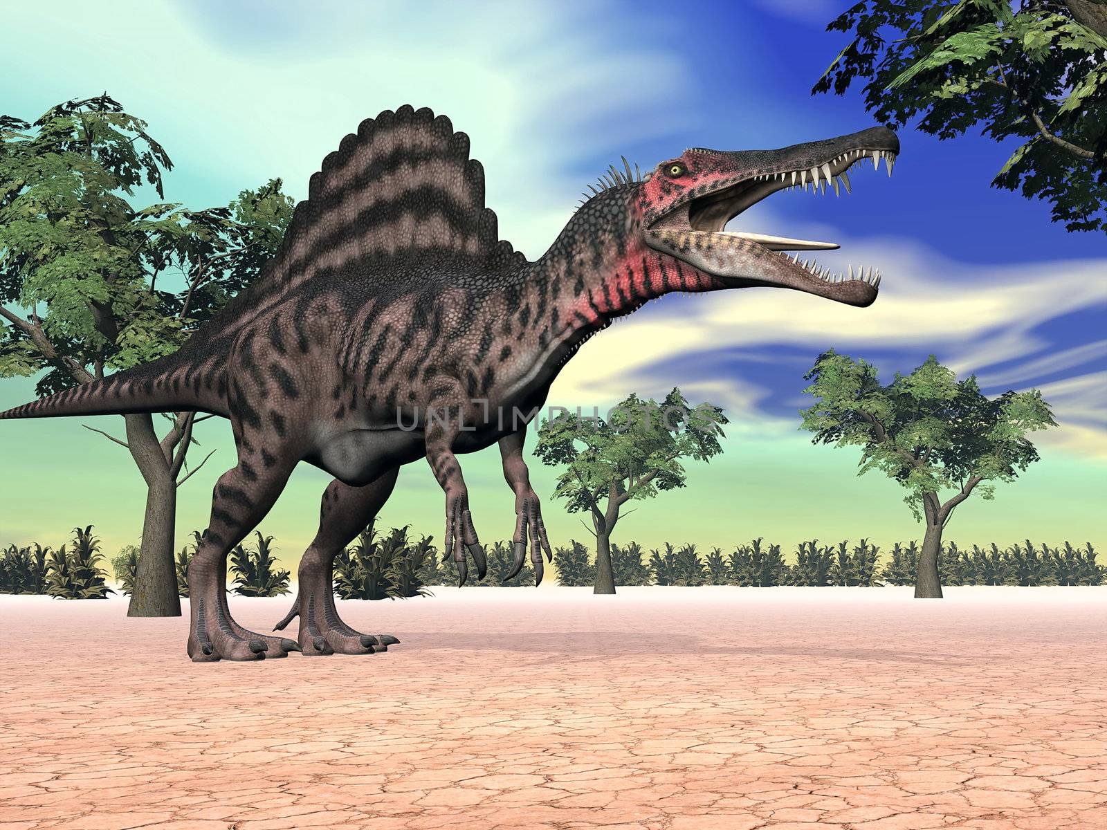 One spinosaurus standing in the desert with trees