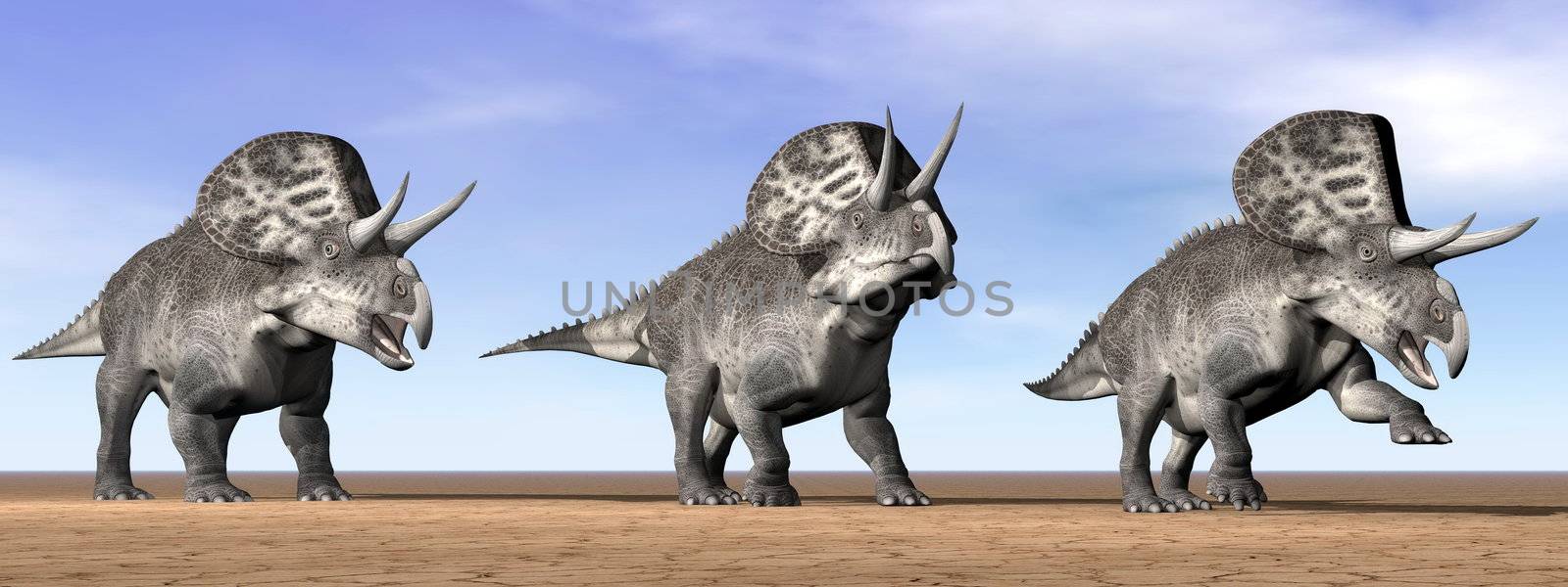 Zuniceratops dinosaurs in the desert - 3D render by Elenaphotos21