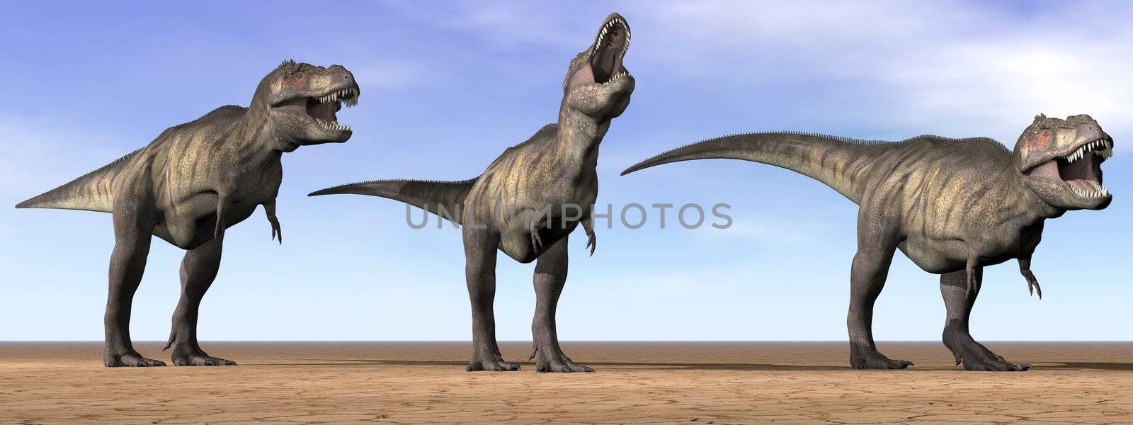 Three tyrannosaurus dinosaurs standing in the desert by daylight