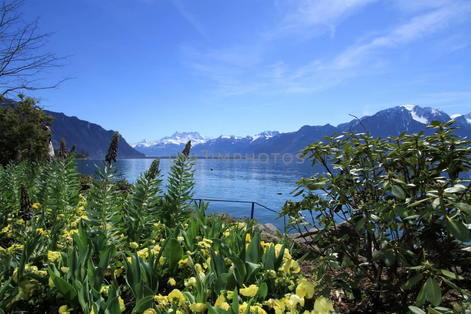 Springtime at Geneva lake, Montreux, Switzerland by Elenaphotos21