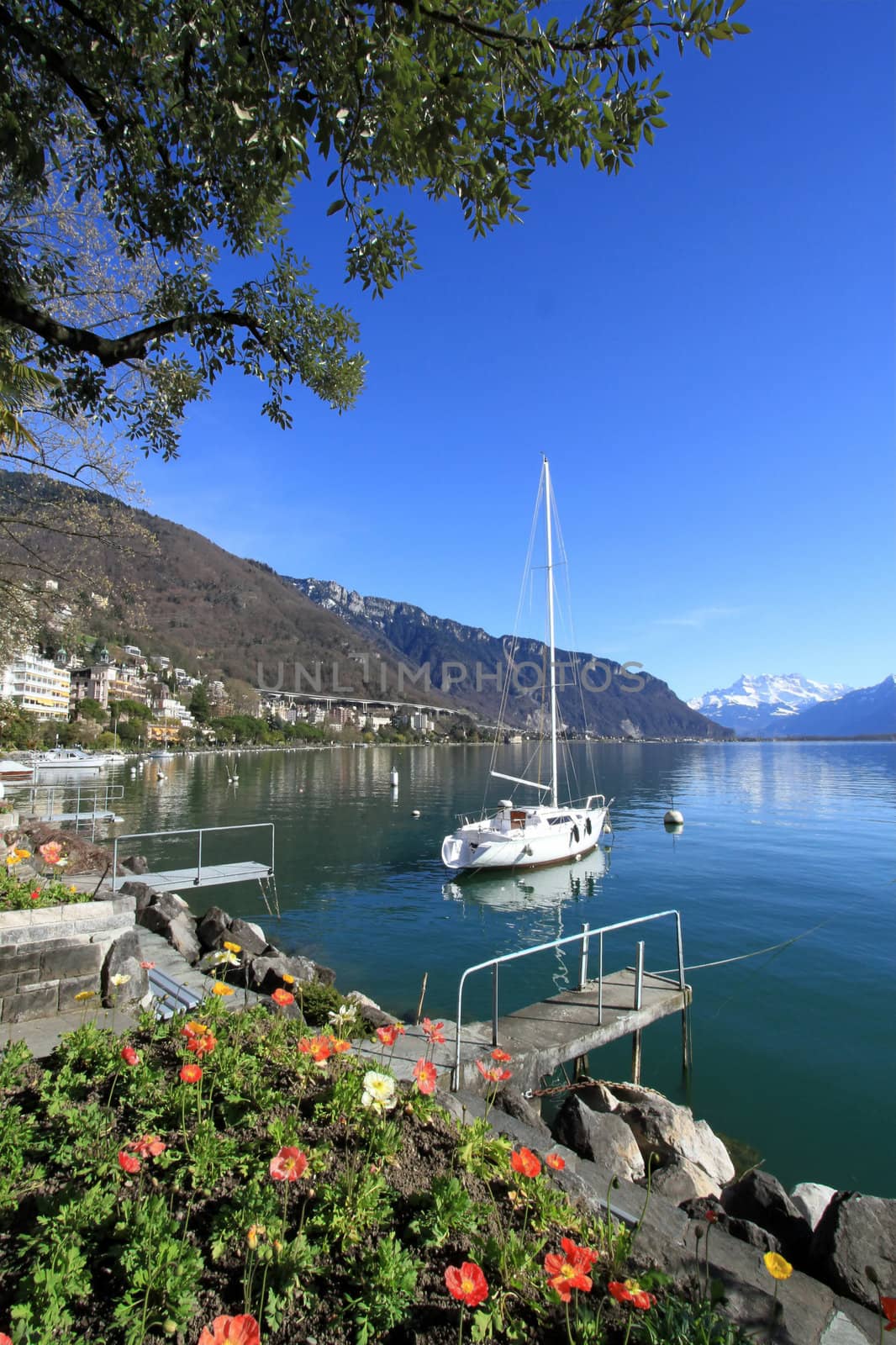 Colorful flowers at springtime at Geneva lake, Montreux, Switzerland. See boat and Alps mountains in the background.