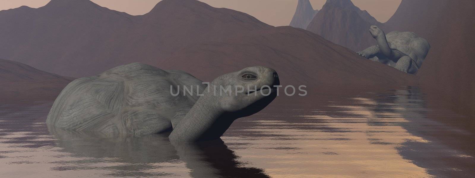 Two Galapagos tortoises in mud landscape with water