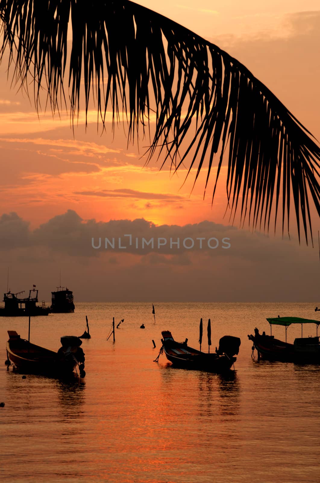 Sunset with palm and boats on tropical beach by johnnychaos