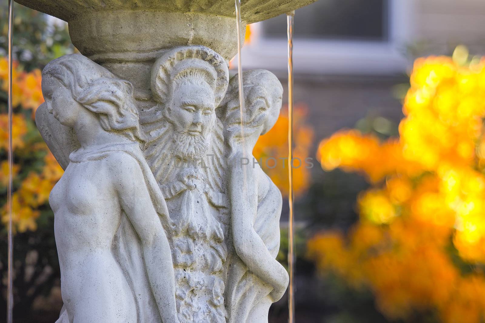 Renaissance Water Fountain with Orange Flower Blurred Background