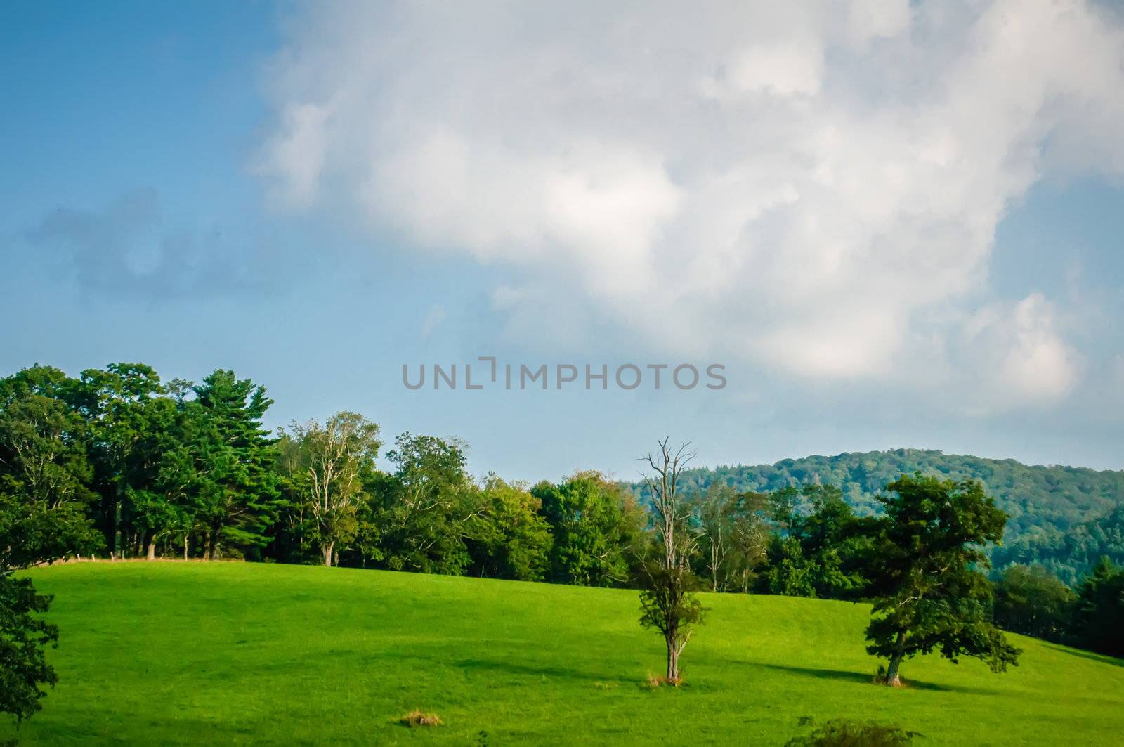 Mountain valley on sunny day. Great Smoky Mountains, North carolina