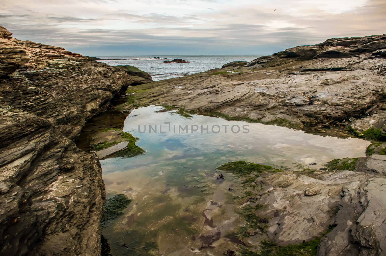 A shot of an early morning aquidneck island, newport, ri by digidreamgrafix