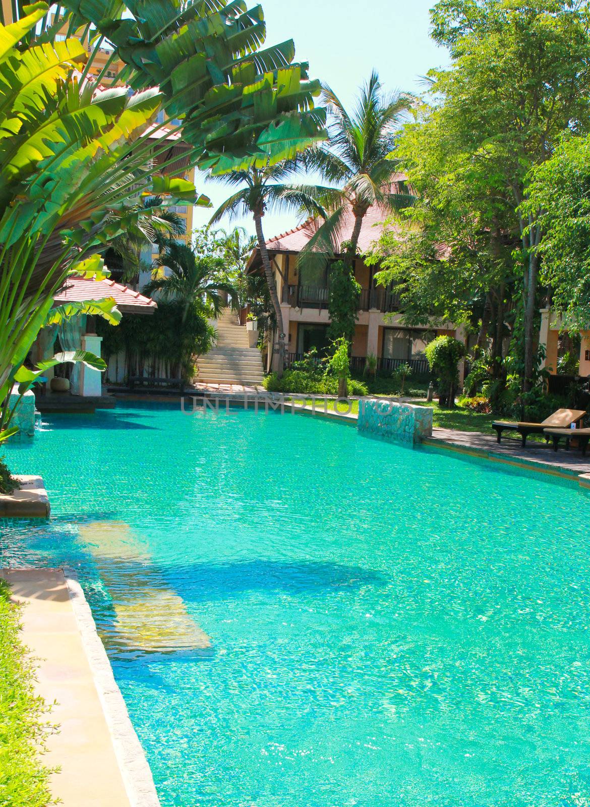 swimming pool surrounded by palm trees by nuchylee