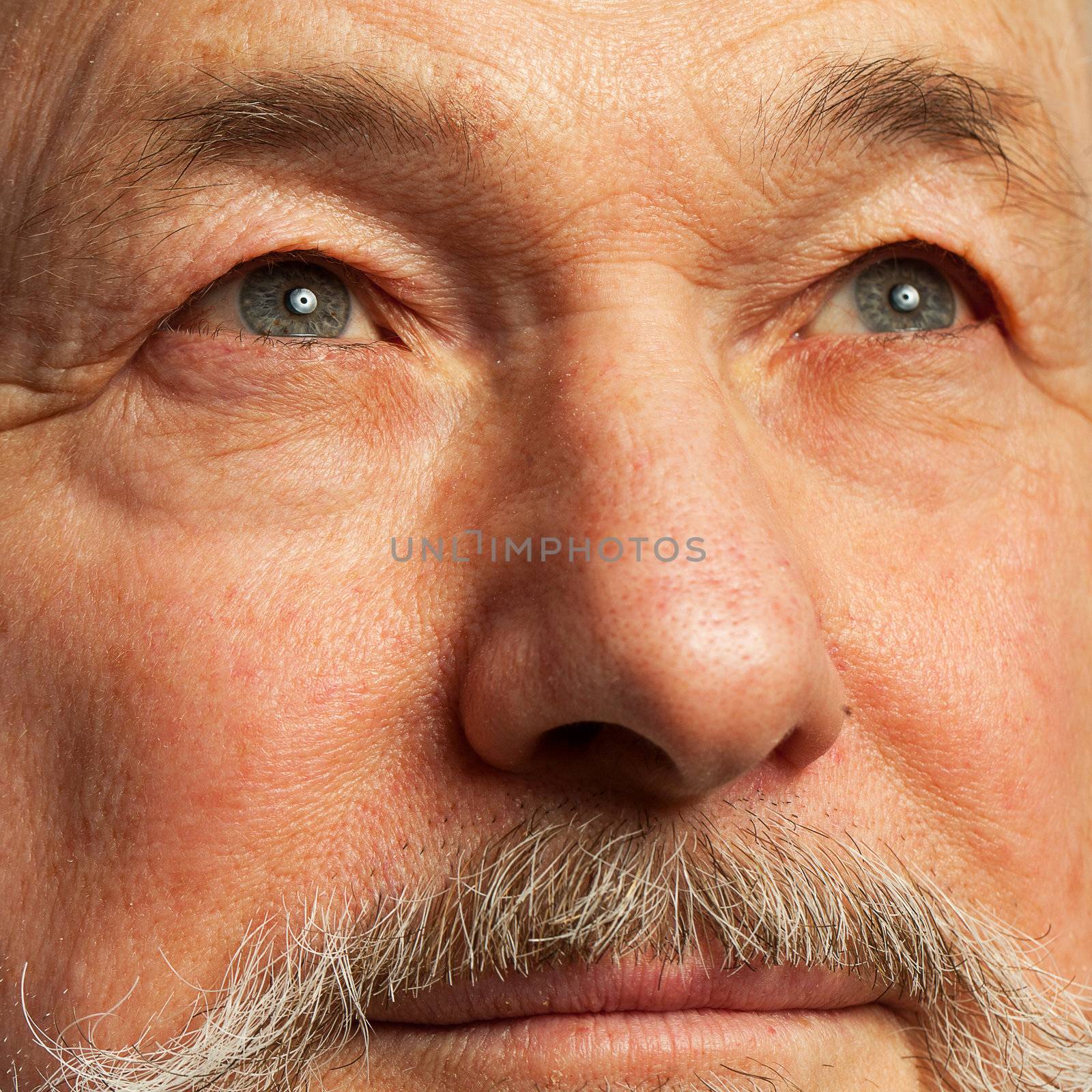 Closeup portrait of elderly man with beard on a black background