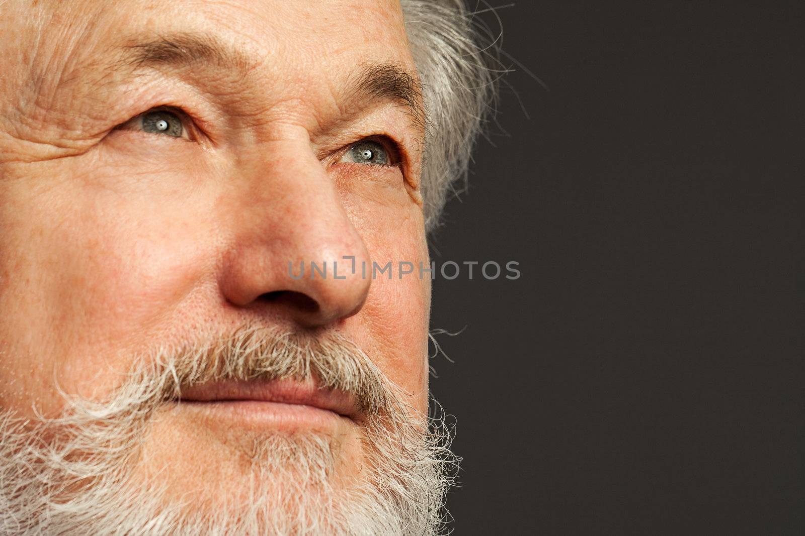 Closeup portrait of elderly man with a beard