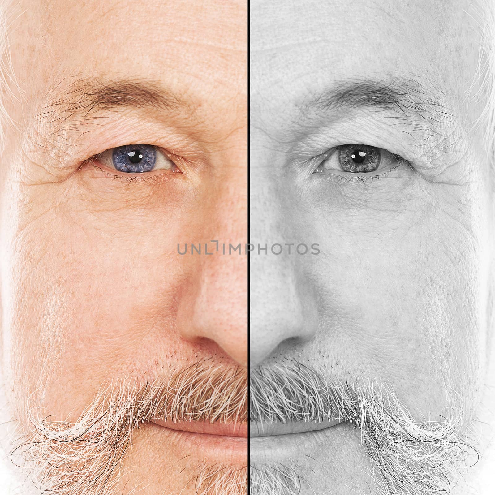 Portrait of handsome elderly man with beard on a white background