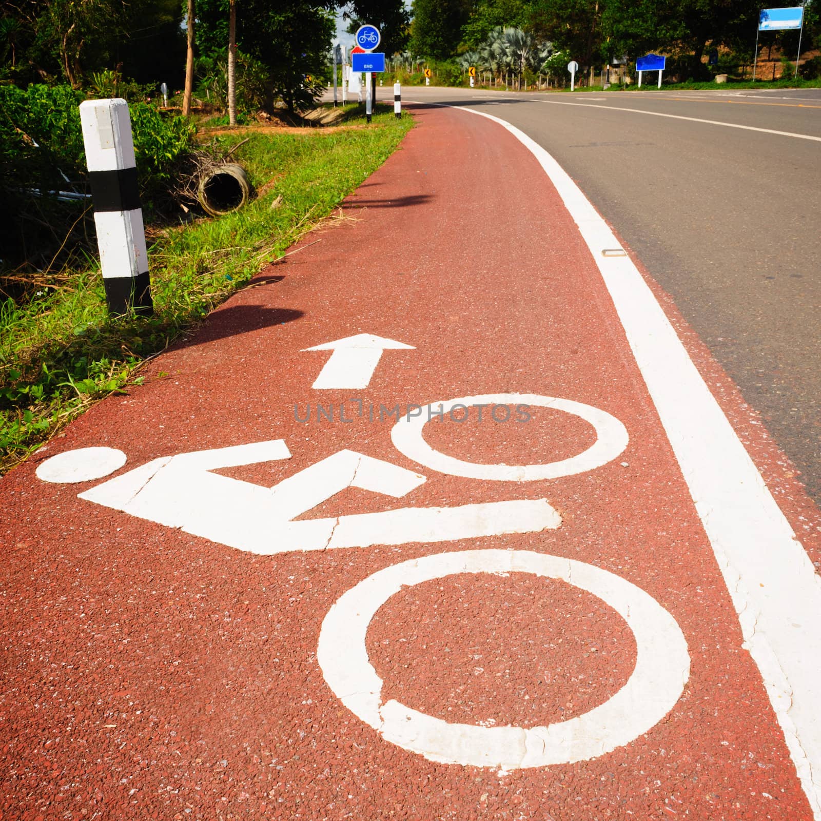 Bike lane in suburban streets