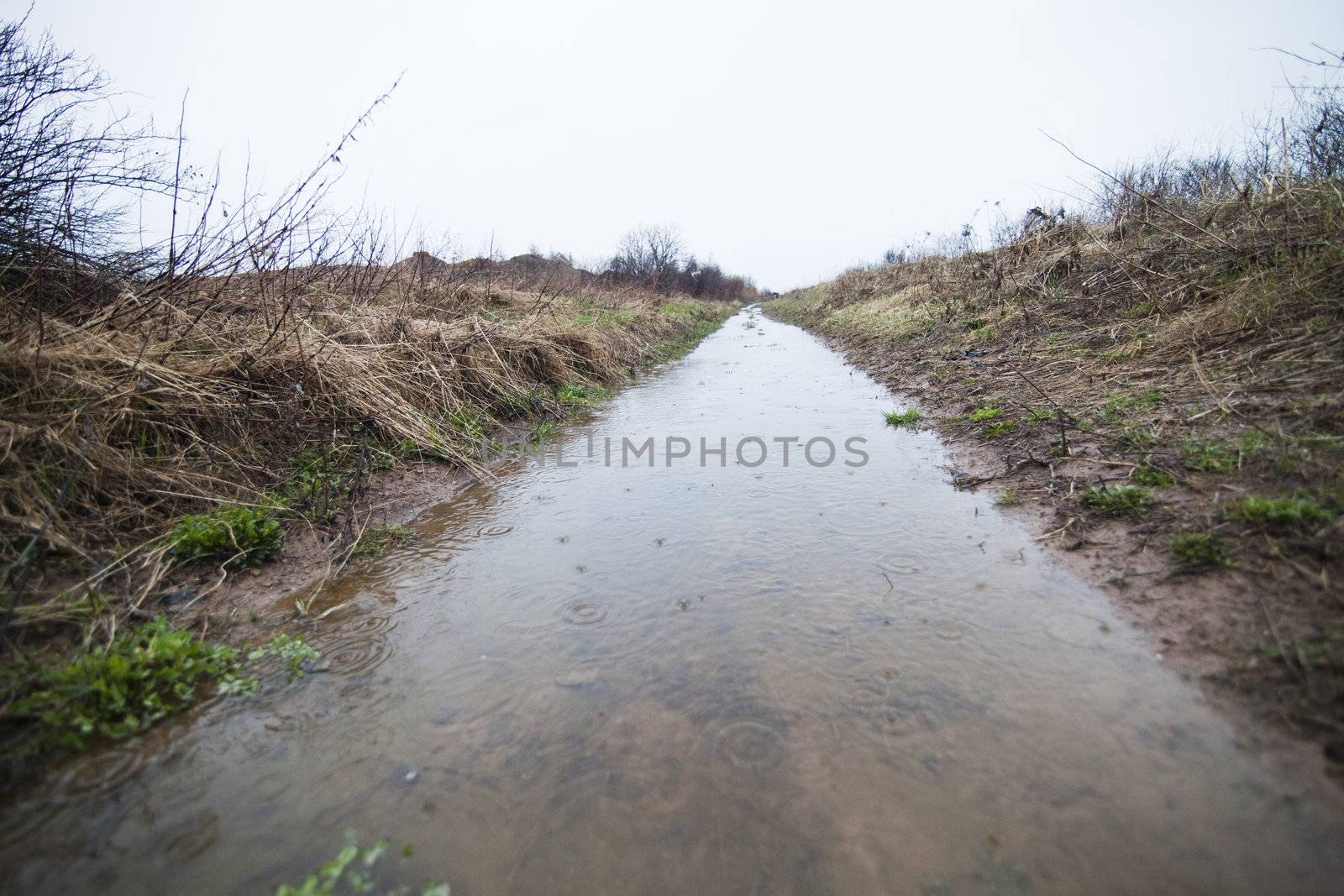 Flooded Path (ditch)