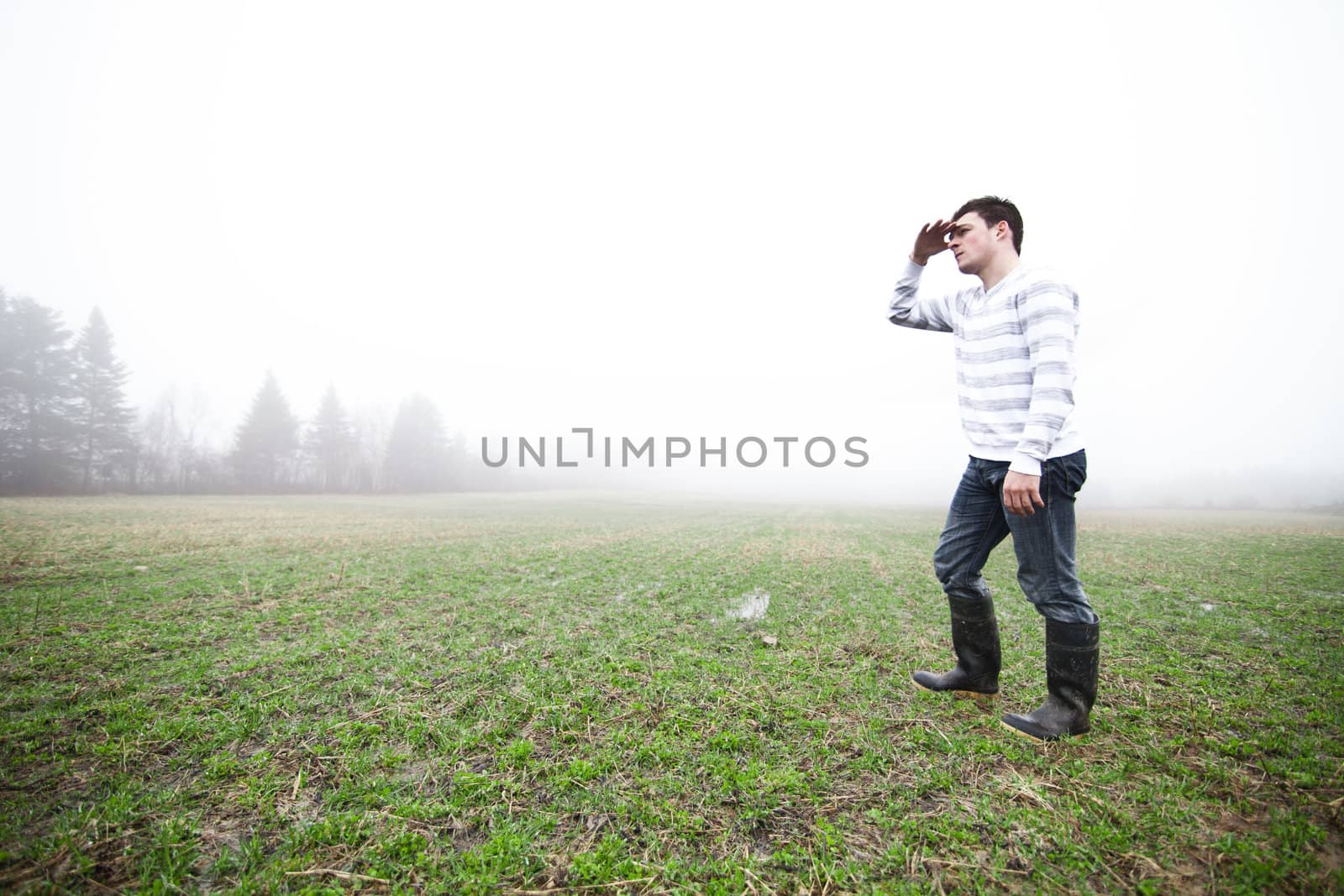 In the foggy field
 by aetb