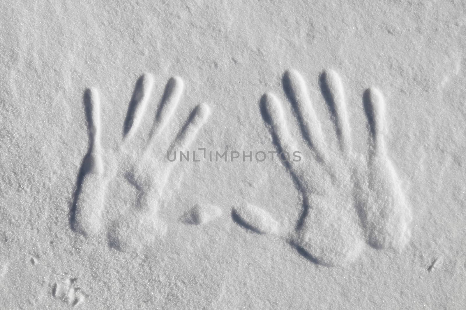 Hand Print in the Snow
 by aetb