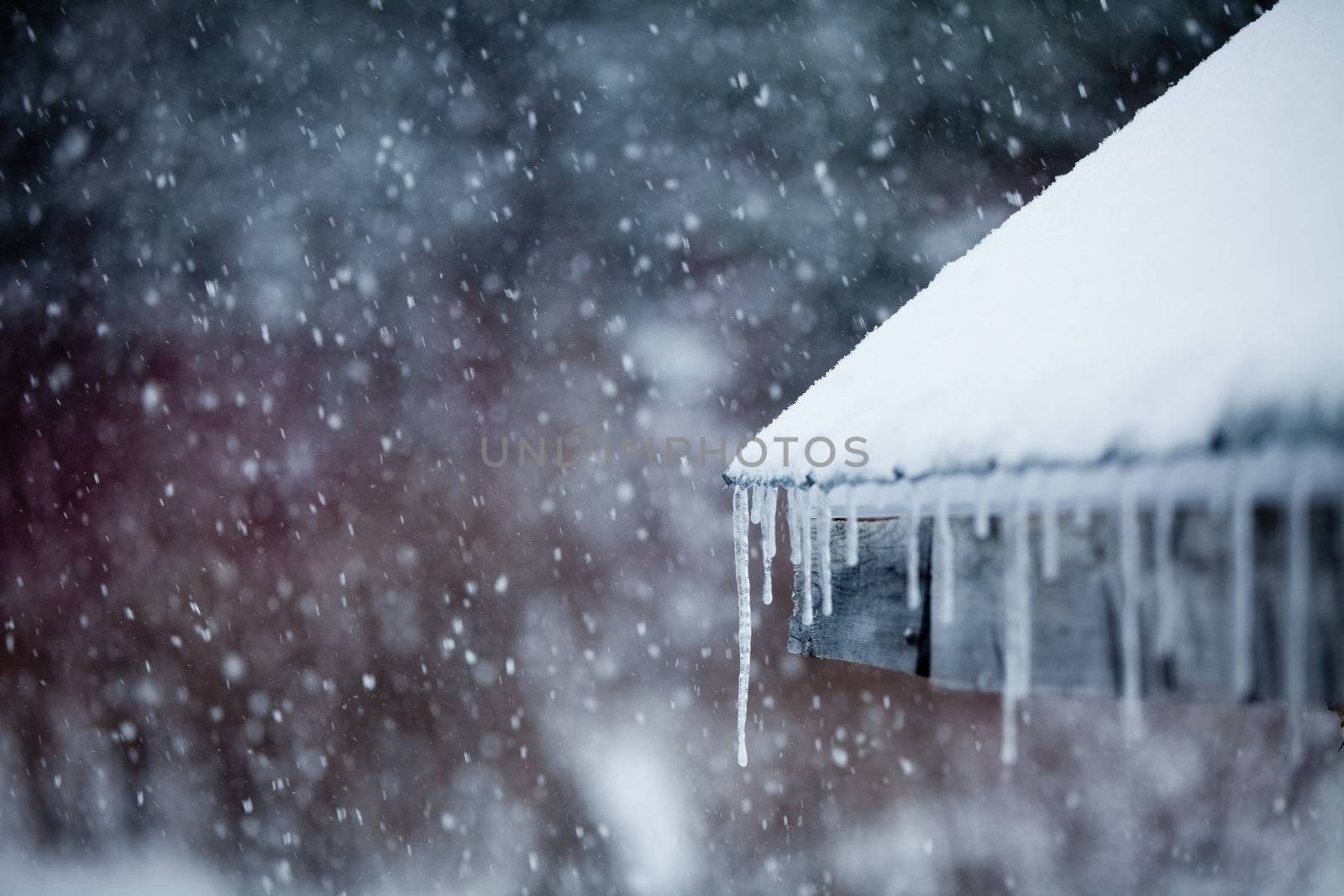 Icicles and Snowstorm
 by aetb