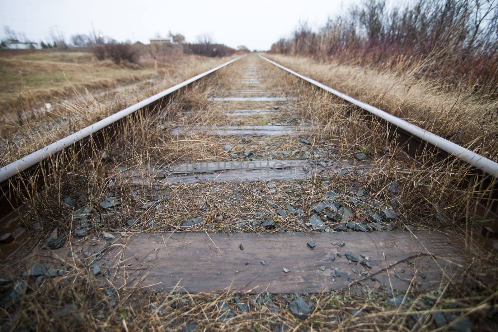 Symmetrical Train Track
 by aetb