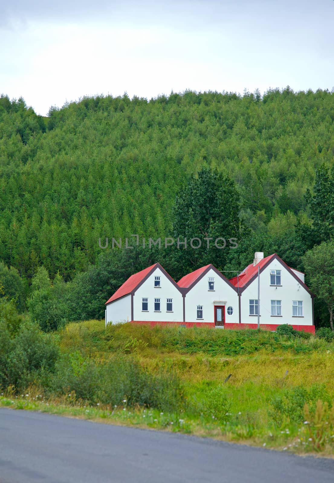 Beautiful house in Iceland. Mountains in background. Vertical view