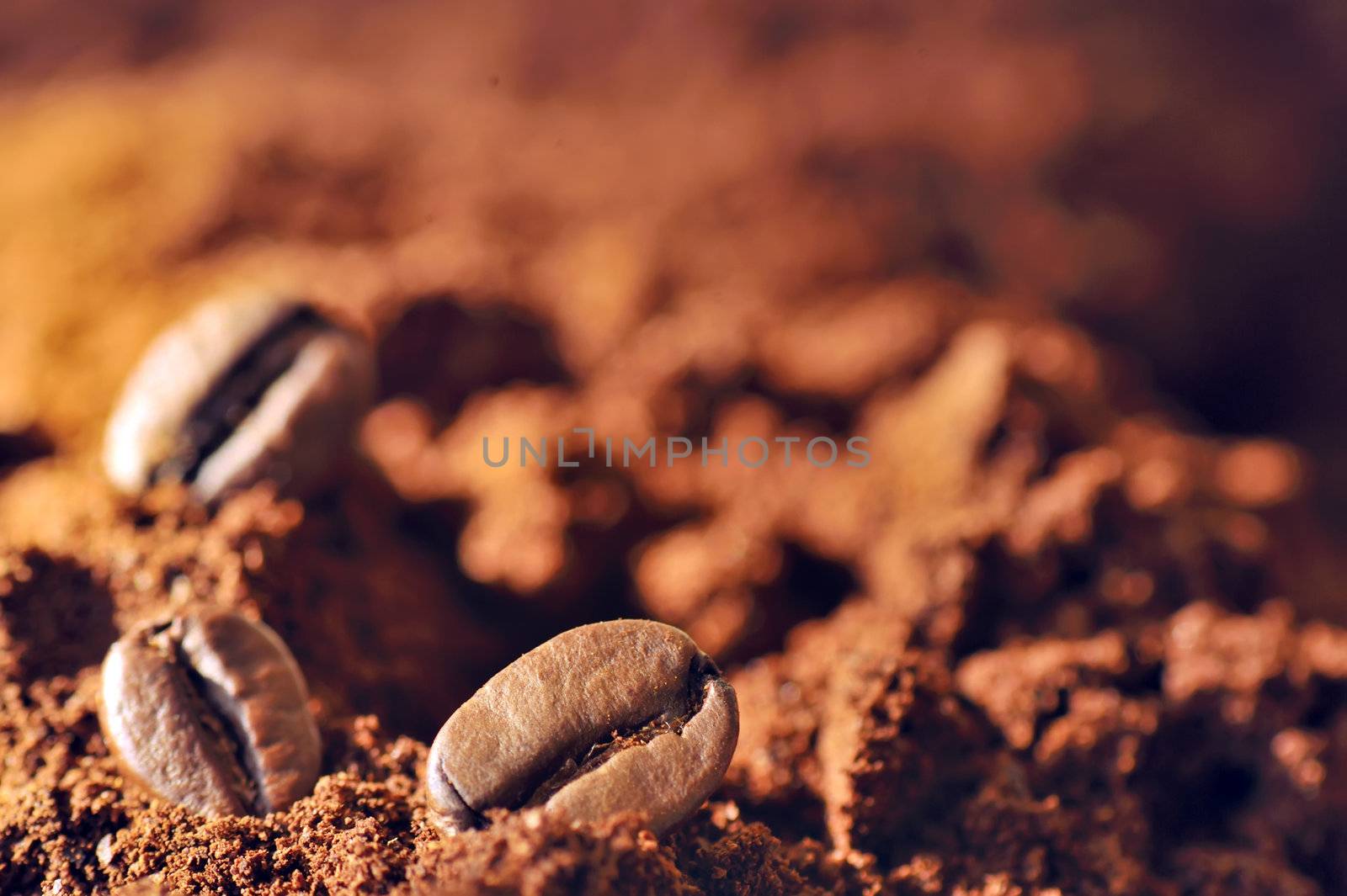 Macro coffee beans and ground coffee by mady70