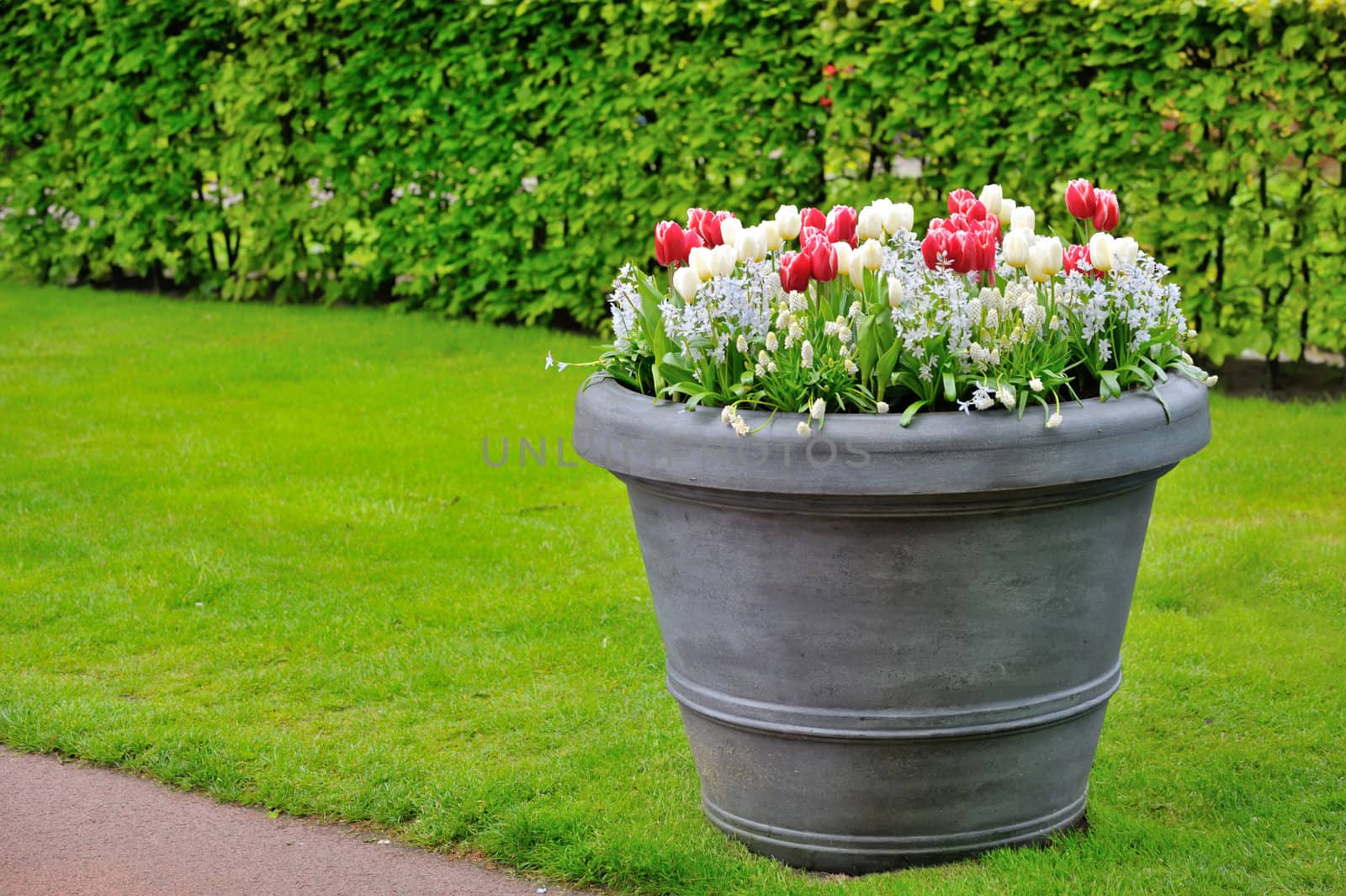 basket of spring flowers in garden shoot 