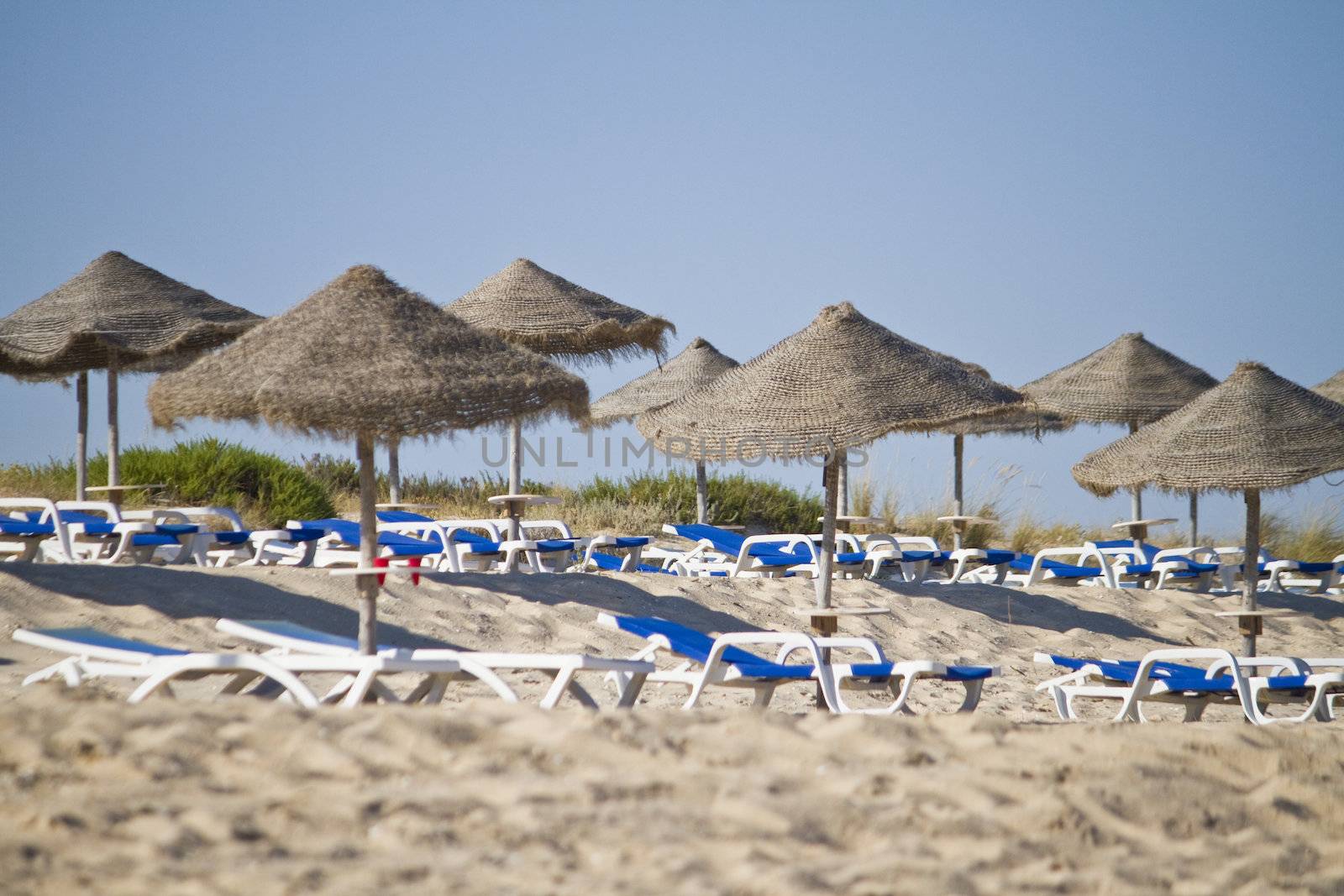 Aligned view of some beach chairs and straw umbrellas. 