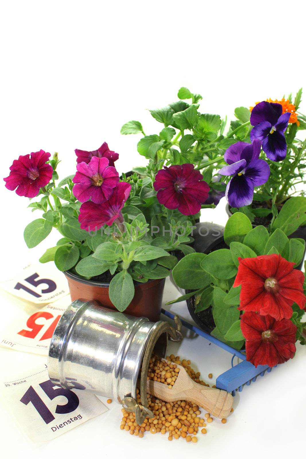 a bucket of slow release fertilizer in front of white background