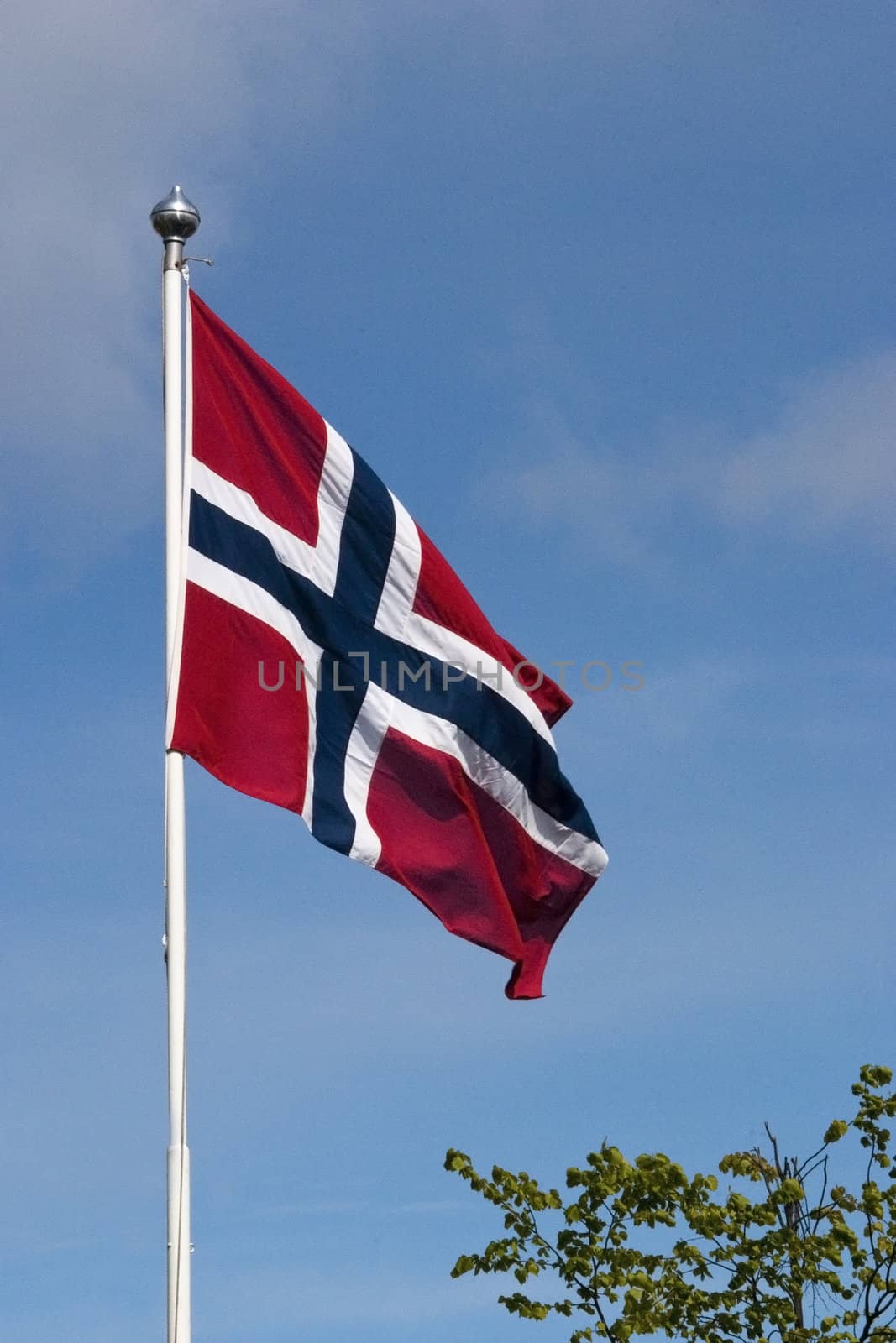 Norwegian Flag by Mags