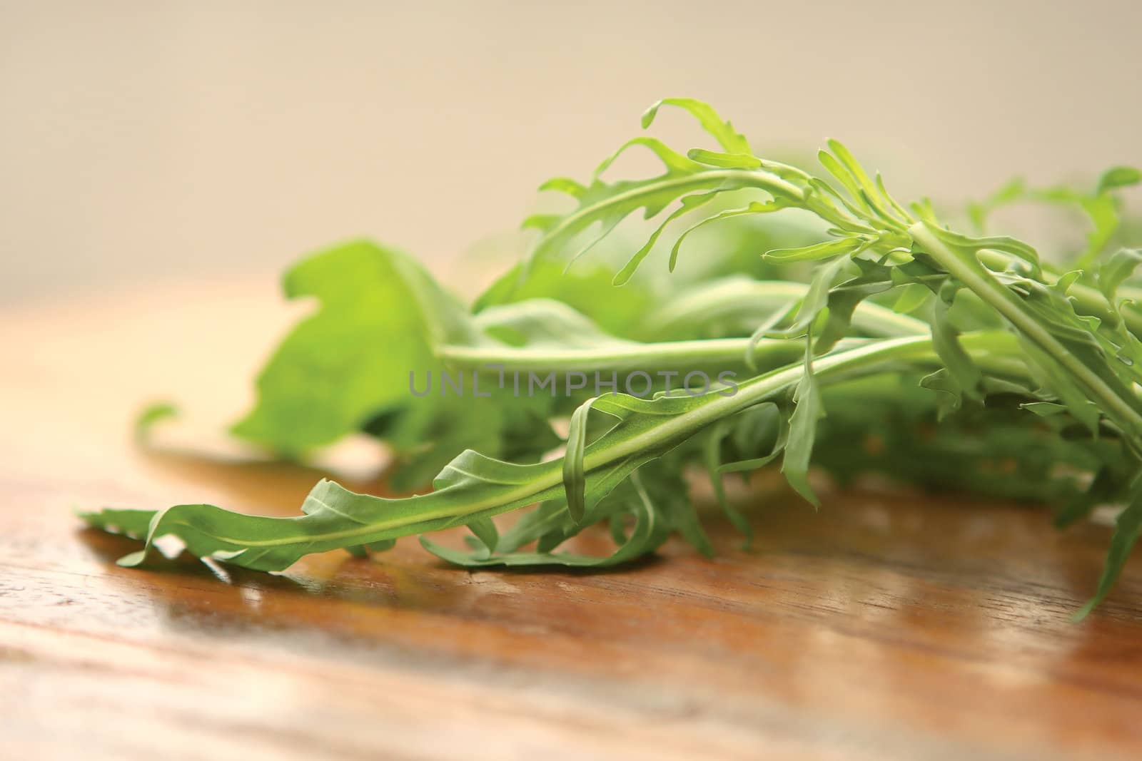Fresh Green Rucola on a round board by cococinema