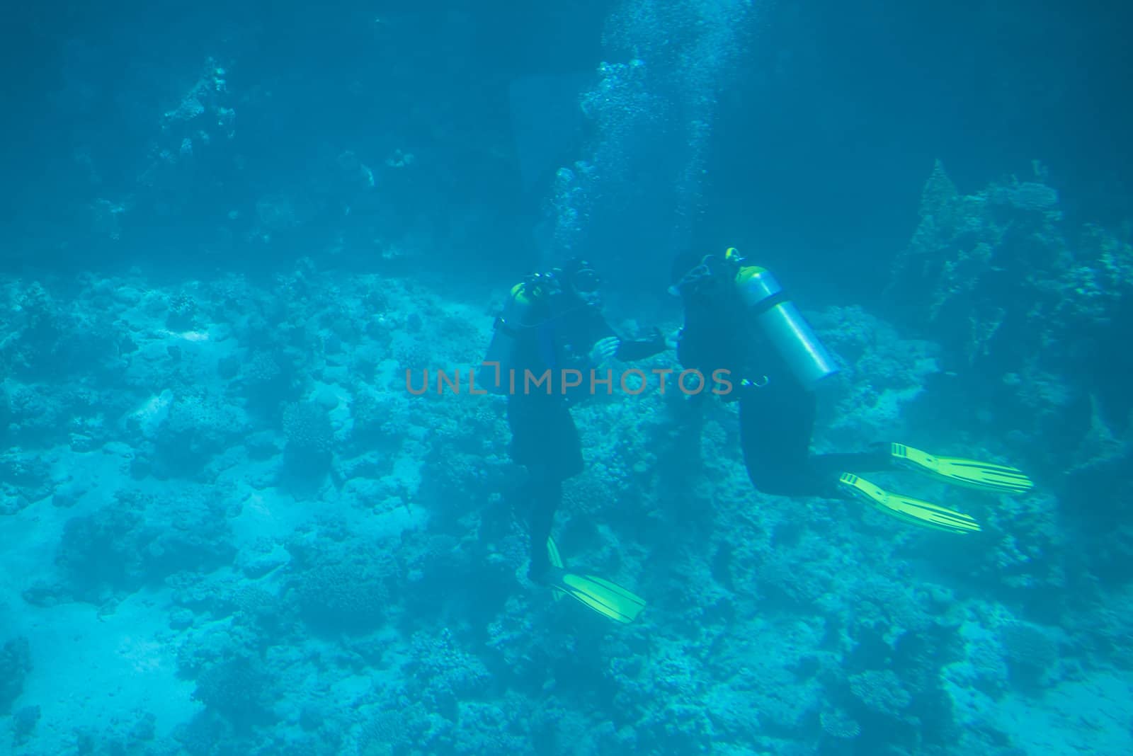The picture is shot from a semi-submarine at the coral reefs in the bay at Sharm el Sheikh, Egypt a day in April 2013.