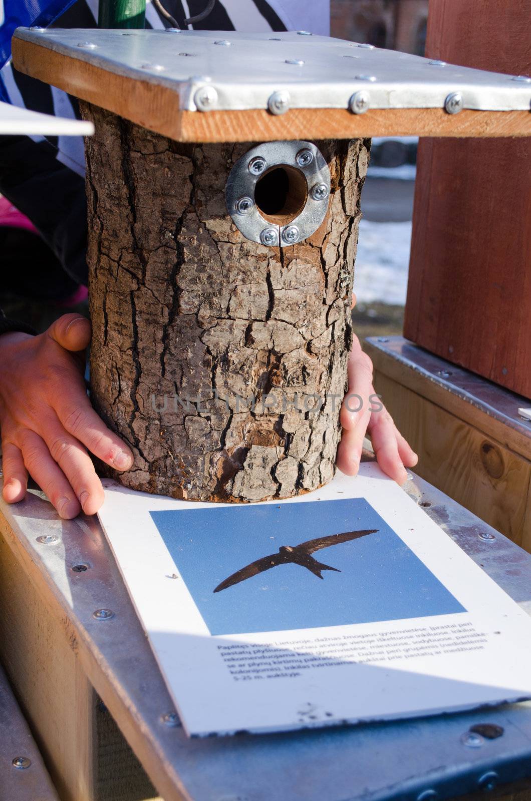market seller hands hold handmade bird house nesting box made of tree trunk and bird photo for it.