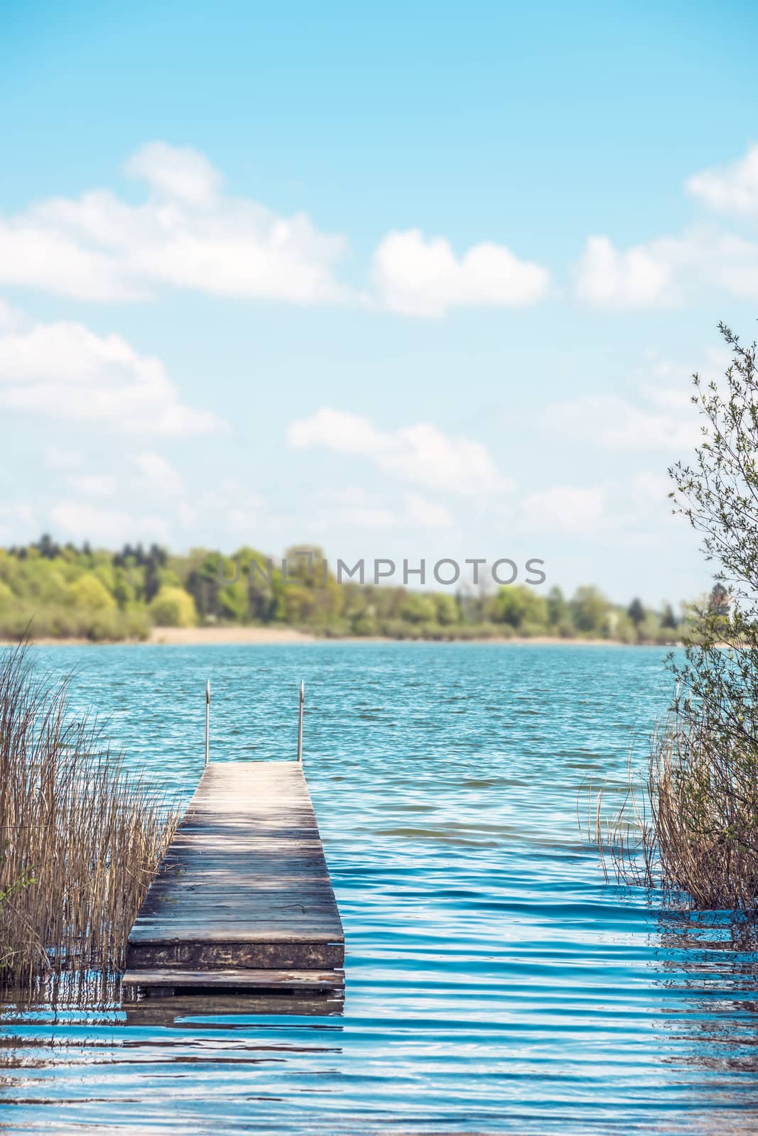 Bathing jetty for relaxing in light, green nature at Chiemsee, Germany