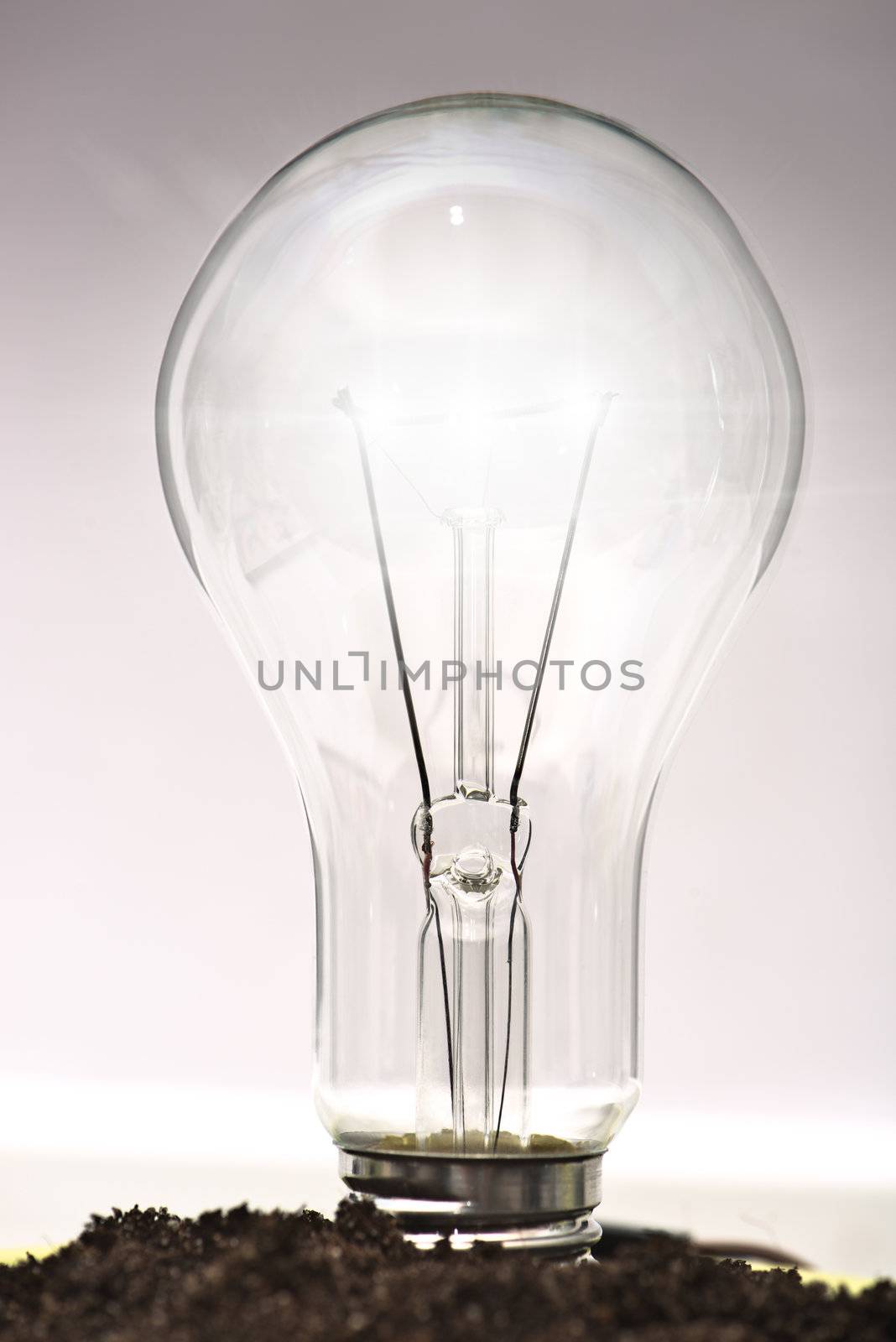 A light bulb in a soil