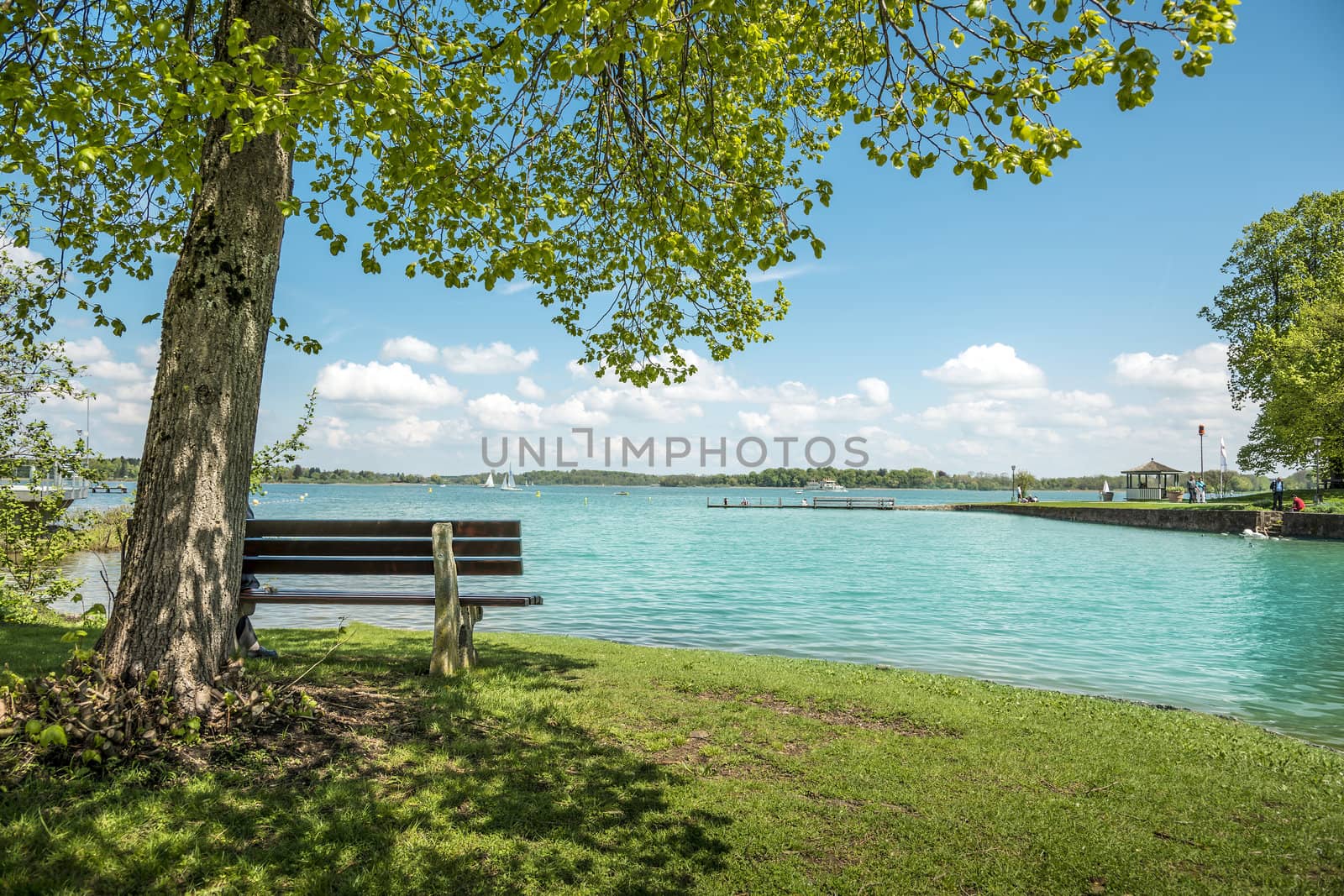 View to the lake Chiemsee with bench and tree on a day with sun, blue sky and white clouds