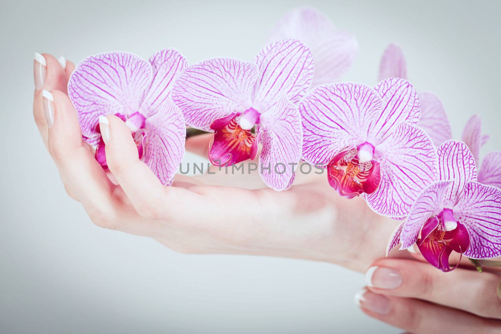 professional manicurist doing a manicure natural look 