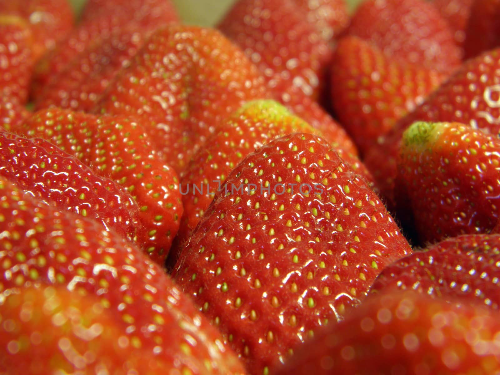 Strawberry by Olymp78