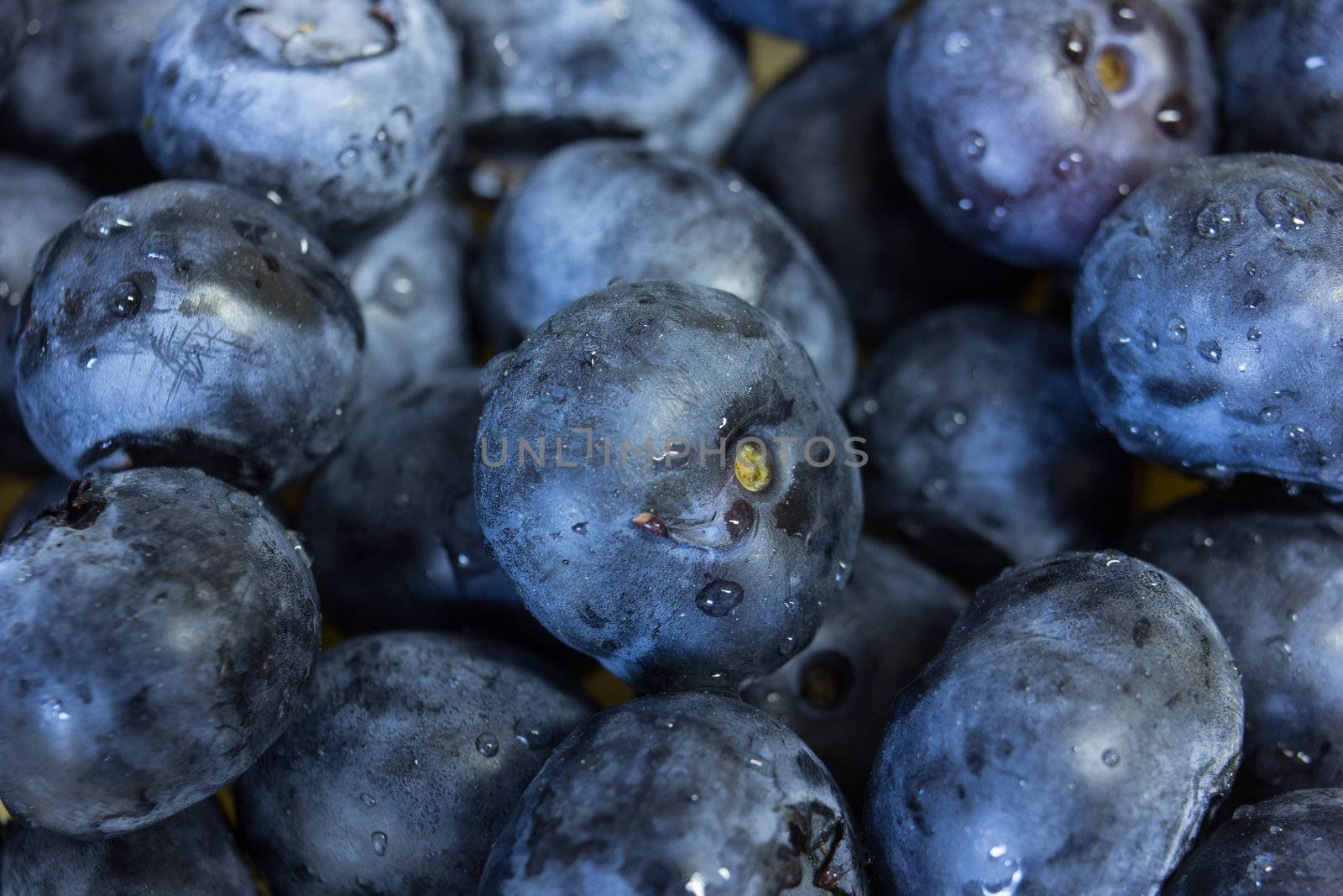 Close-up of blueberry