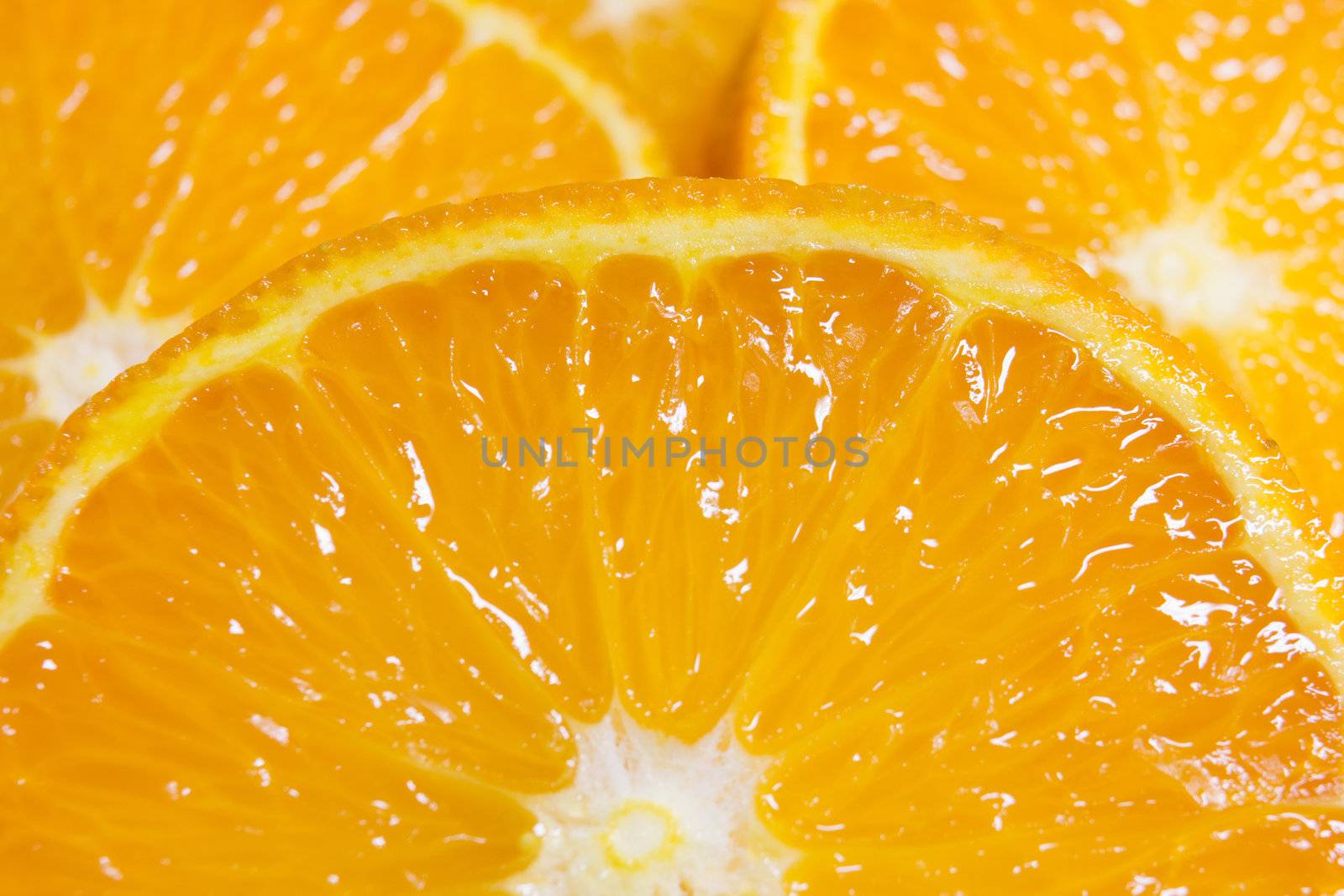 Close-up of Orange