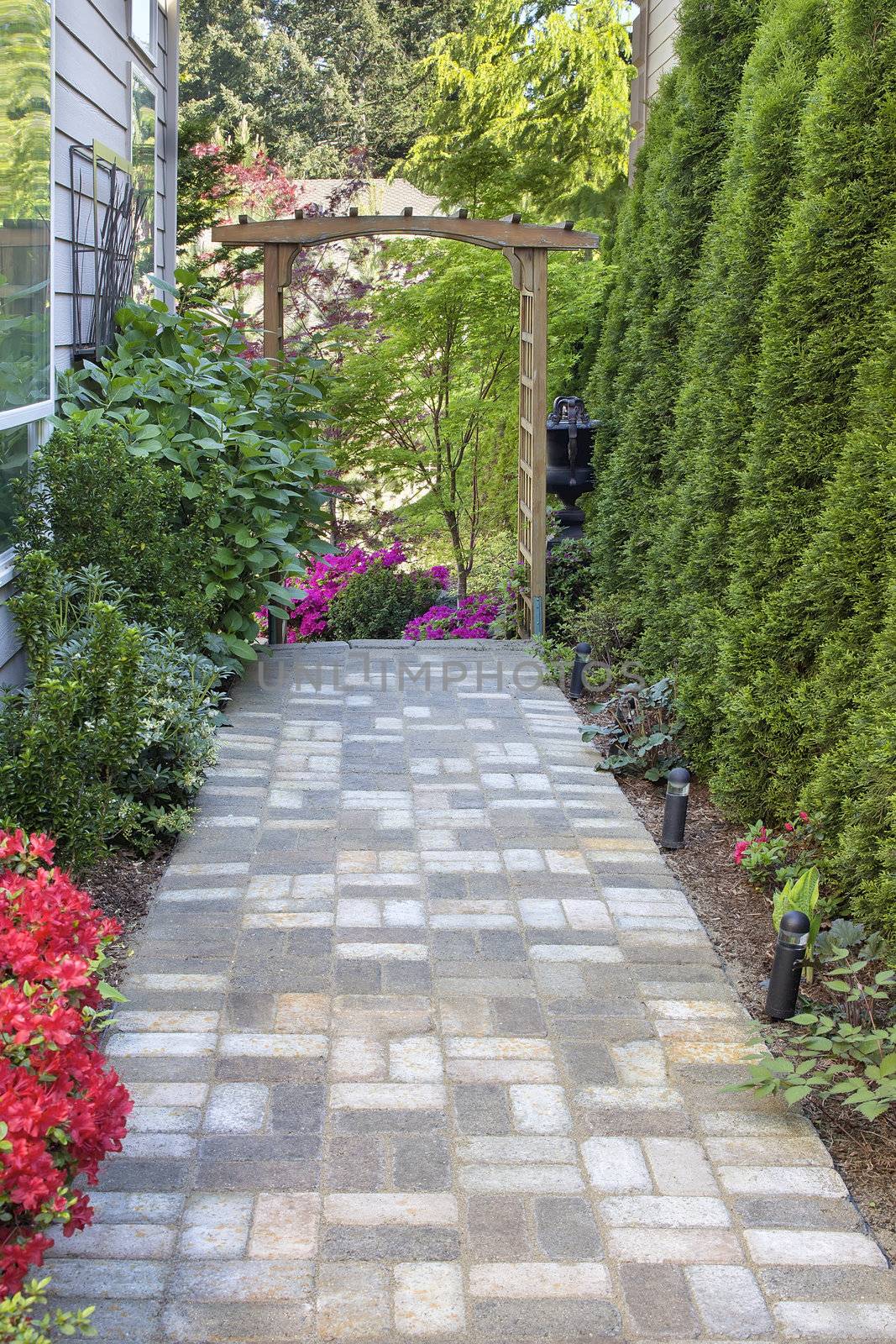 Garden Brick Paver Path Walkway with Wood Arbor Landscape Light Trees and Flowering Plants