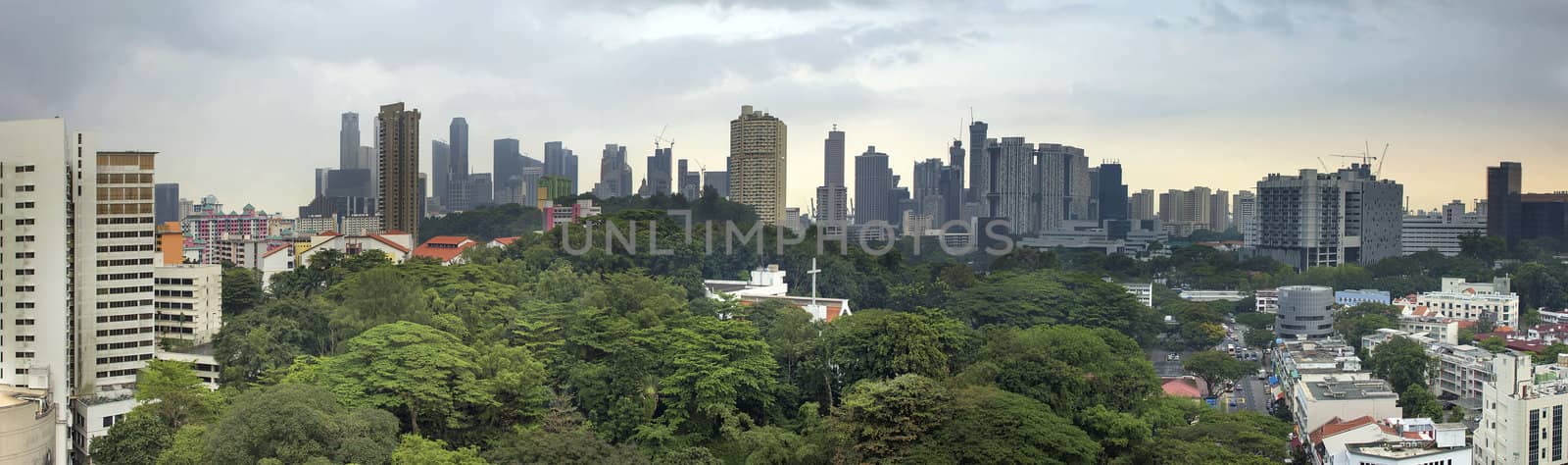 Singapore City Skyline with Lush Green Landscape Panorama
